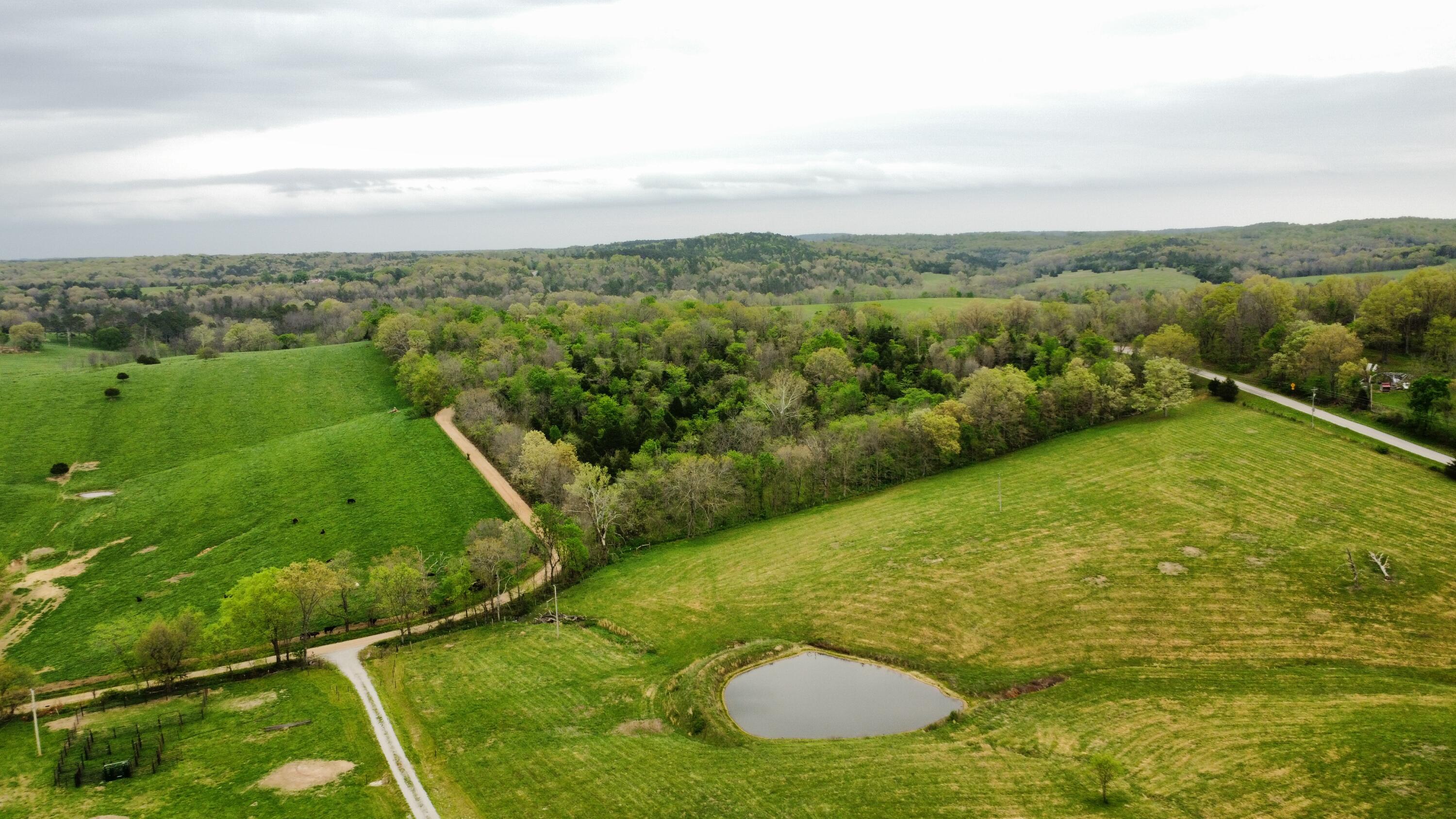 Photo 44 - Residential for sale – 359  County Road 138   Wasola, MO