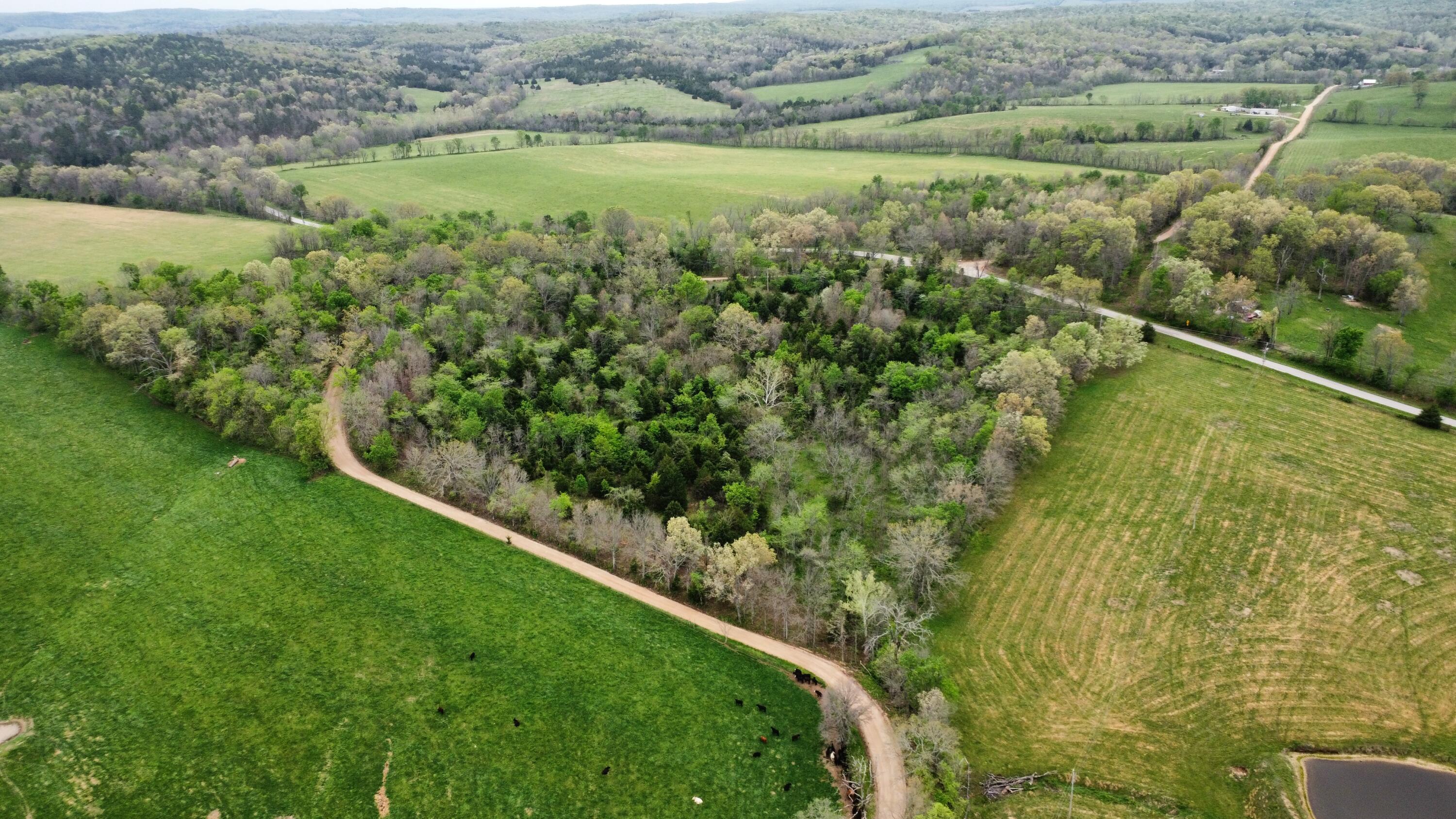 Photo 46 - Residential for sale – 359  County Road 138   Wasola, MO