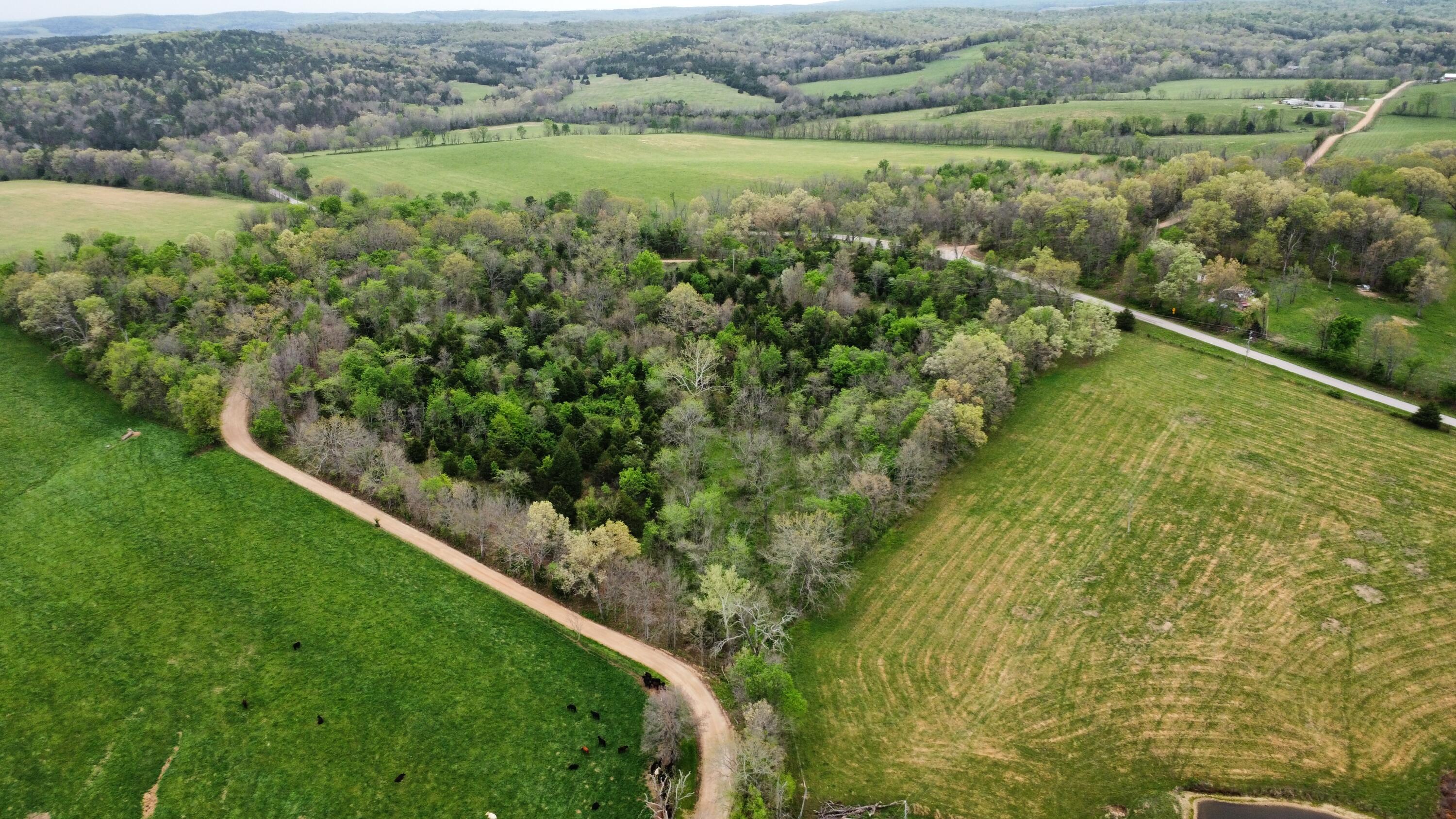 Photo 45 - Residential for sale – 359  County Road 138   Wasola, MO