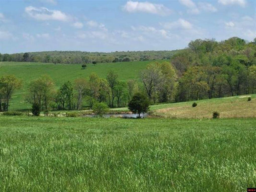 Photo 40 - Residential for sale – 359  County Road 138   Wasola, MO