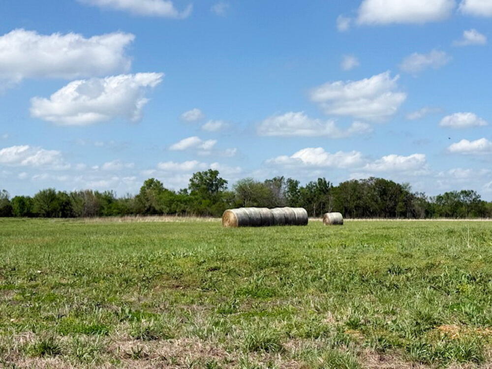 Photo 10 - Land for sale – 6777 E Highway 32   El Dorado Springs, MO