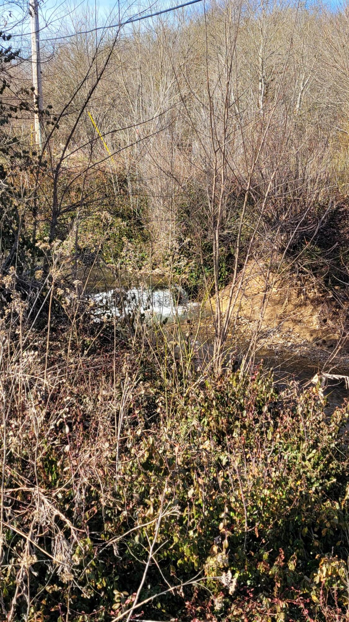 Photo 6 - Land for sale – 357 E Rolla Street  Hartville, MO