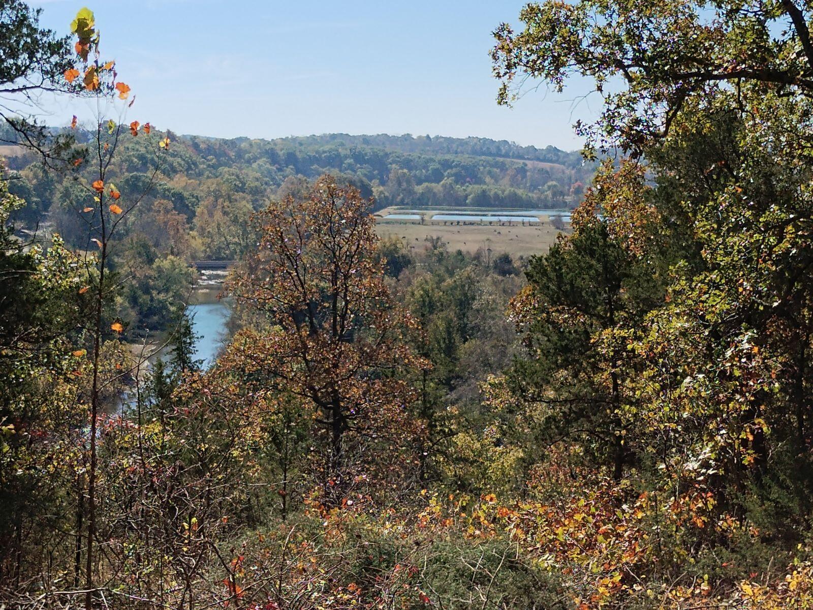 Photo 3 - Land for sale – 357 E Rolla Street  Hartville, MO