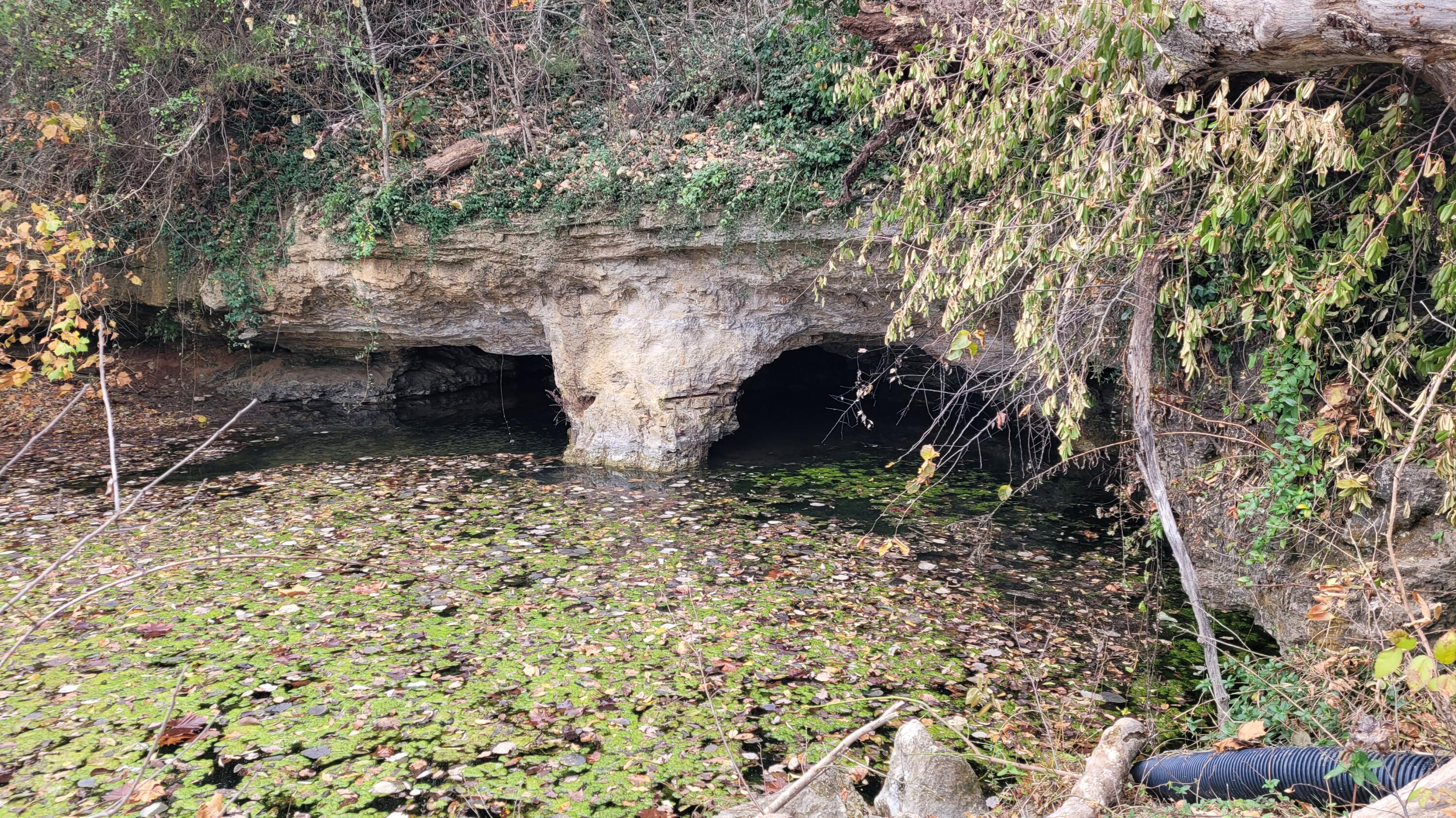 Photo 9 - Land for sale – 357 E Rolla Street  Hartville, MO