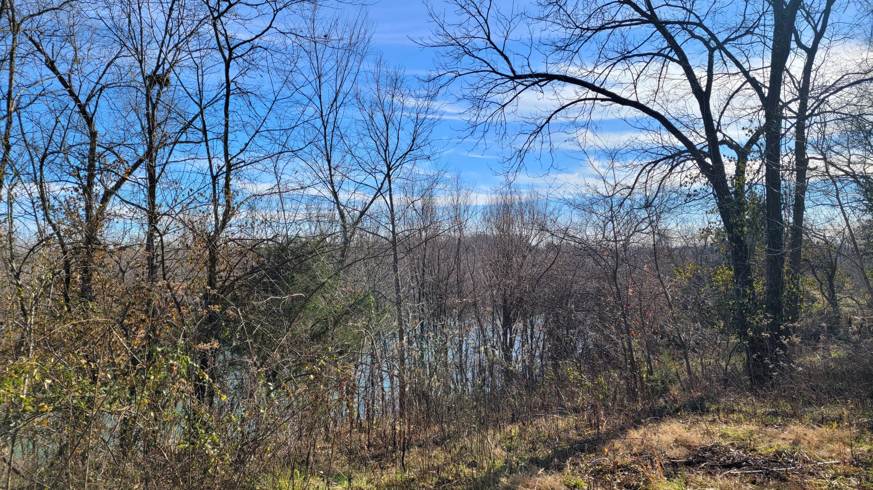 Photo 19 - Land for sale – 357 E Rolla Street  Hartville, MO