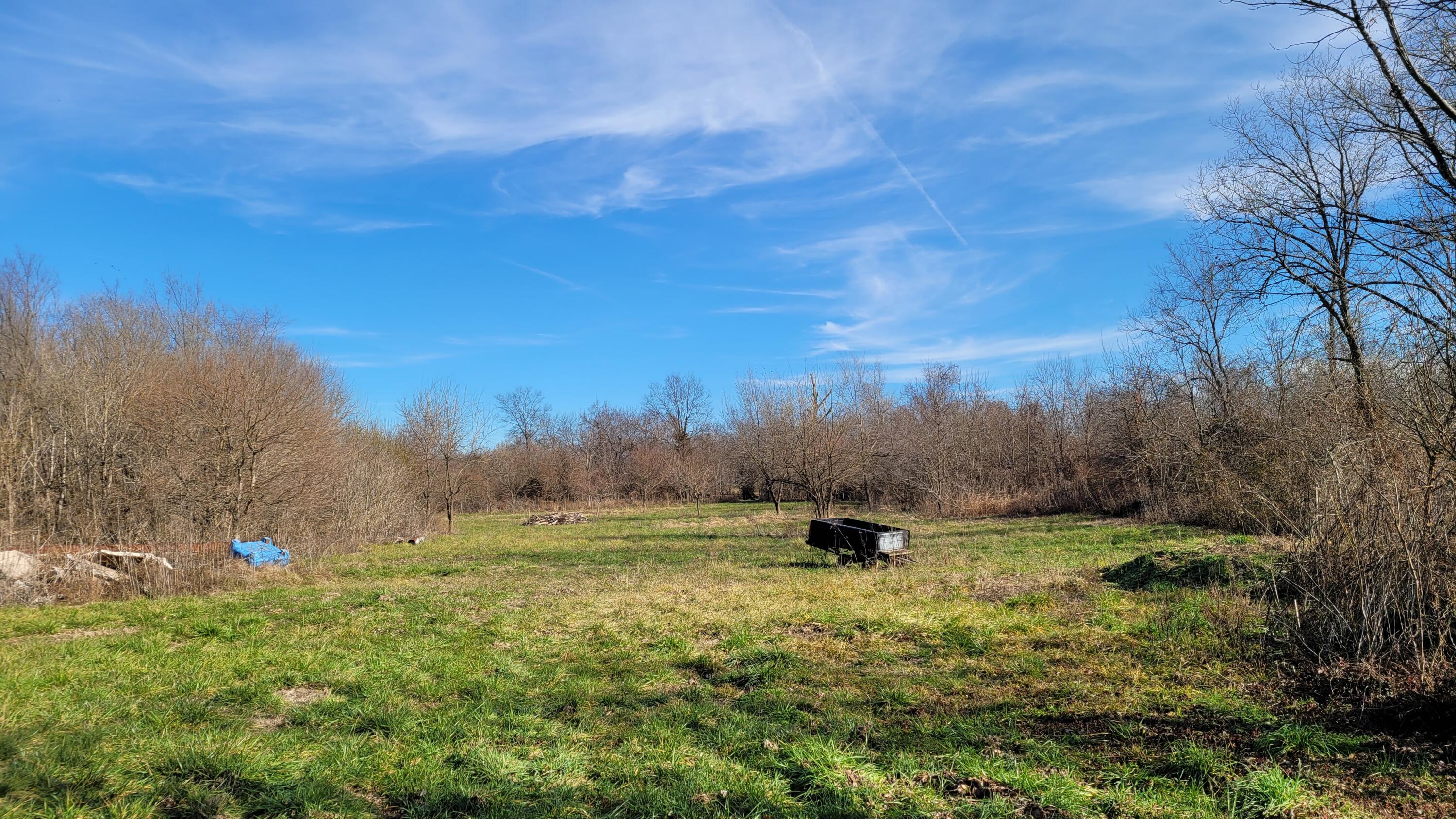 Photo 10 - Land for sale – 357 E Rolla Street  Hartville, MO