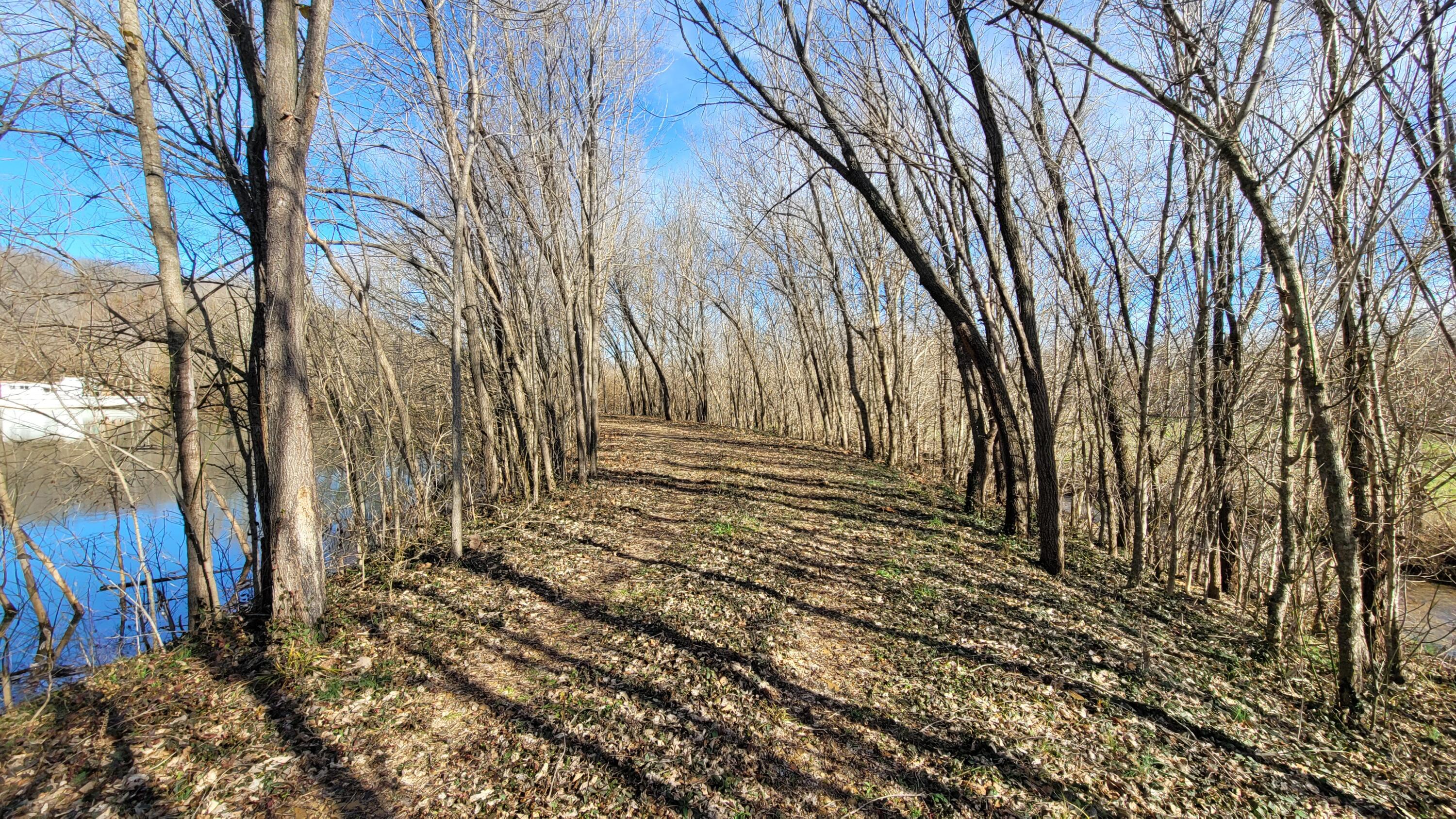 Photo 14 - Land for sale – 357 E Rolla Street  Hartville, MO