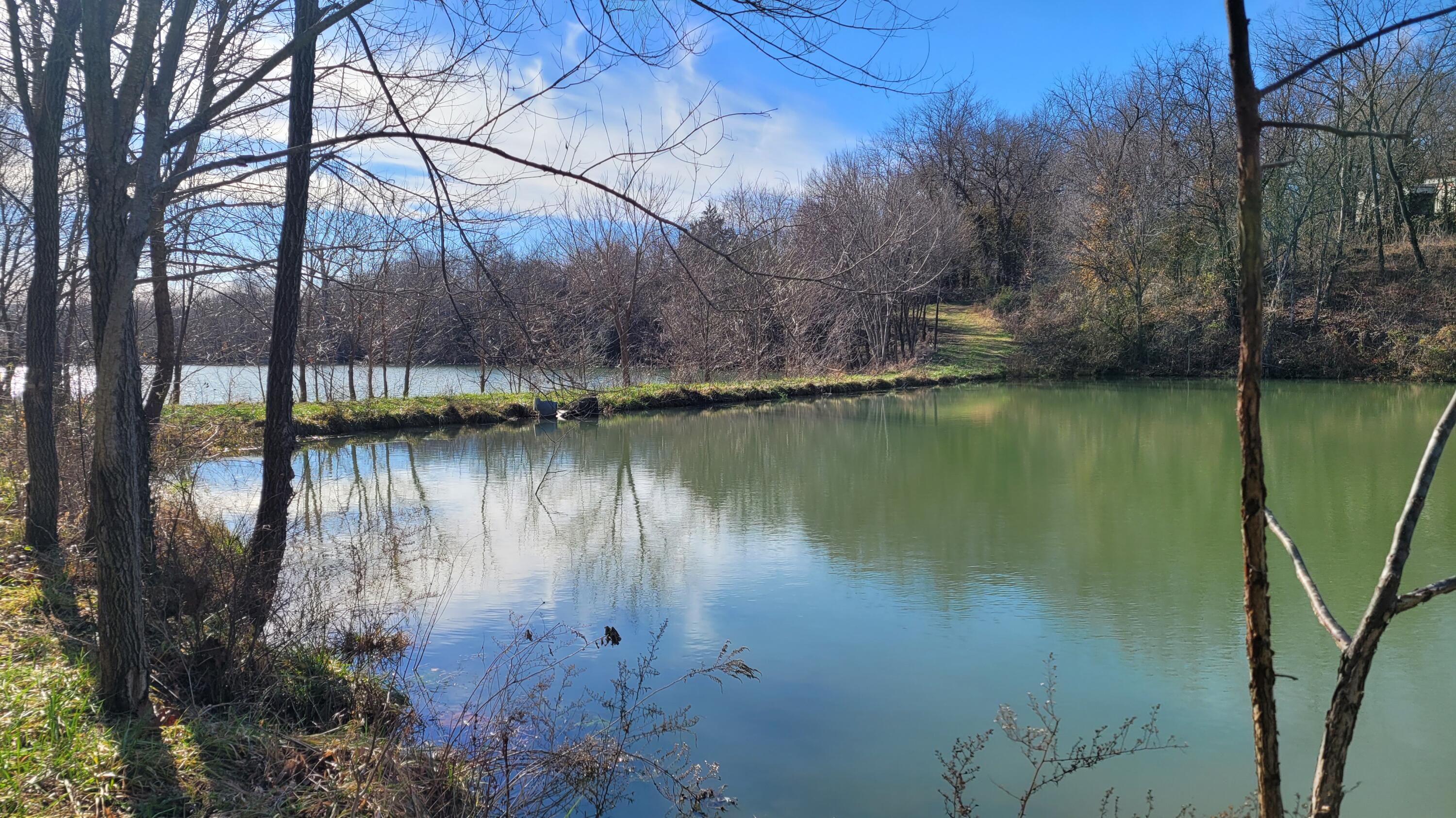 Photo 15 - Land for sale – 357 E Rolla Street  Hartville, MO