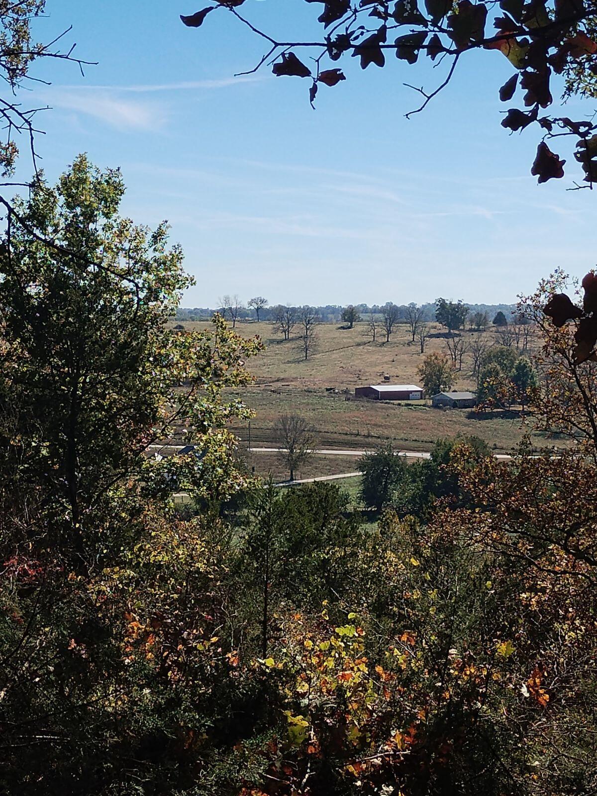 Photo 2 - Land for sale – 357 E Rolla Street  Hartville, MO