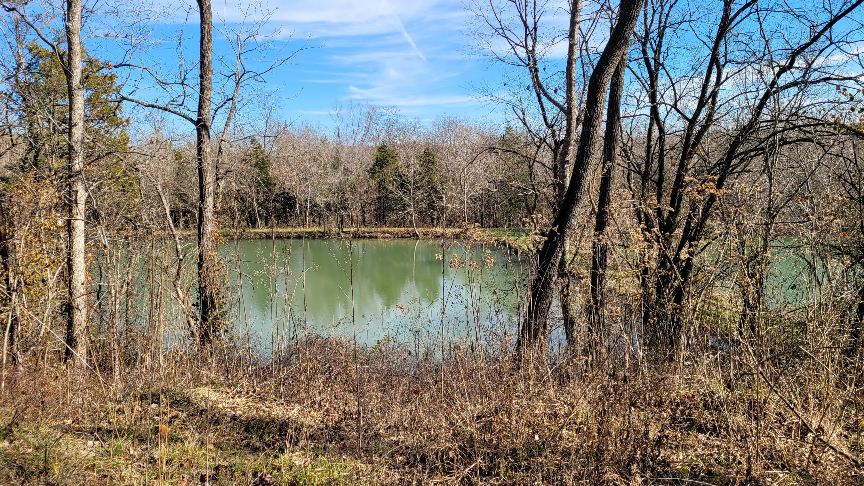 Photo 18 - Land for sale – 357 E Rolla Street  Hartville, MO