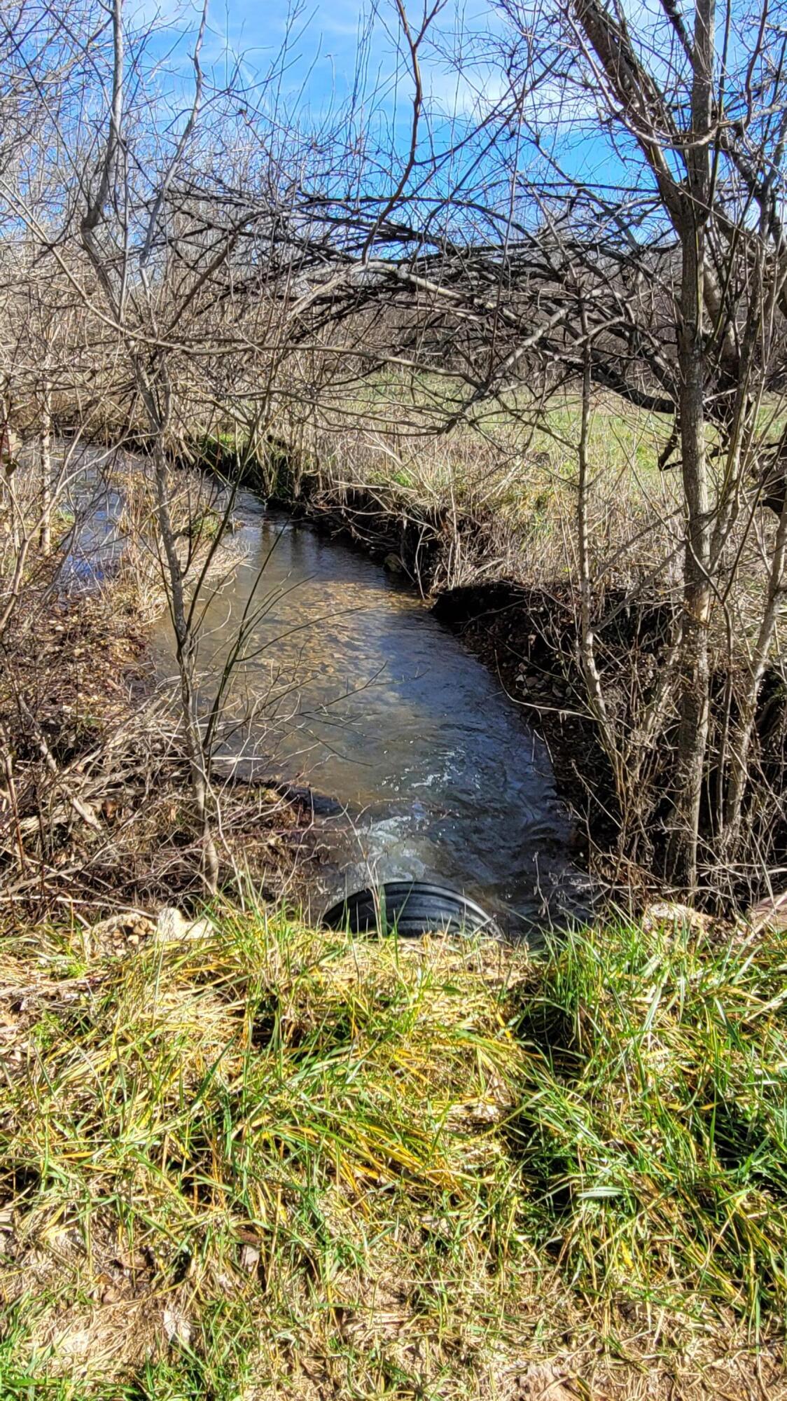 Photo 13 - Land for sale – 357 E Rolla Street  Hartville, MO