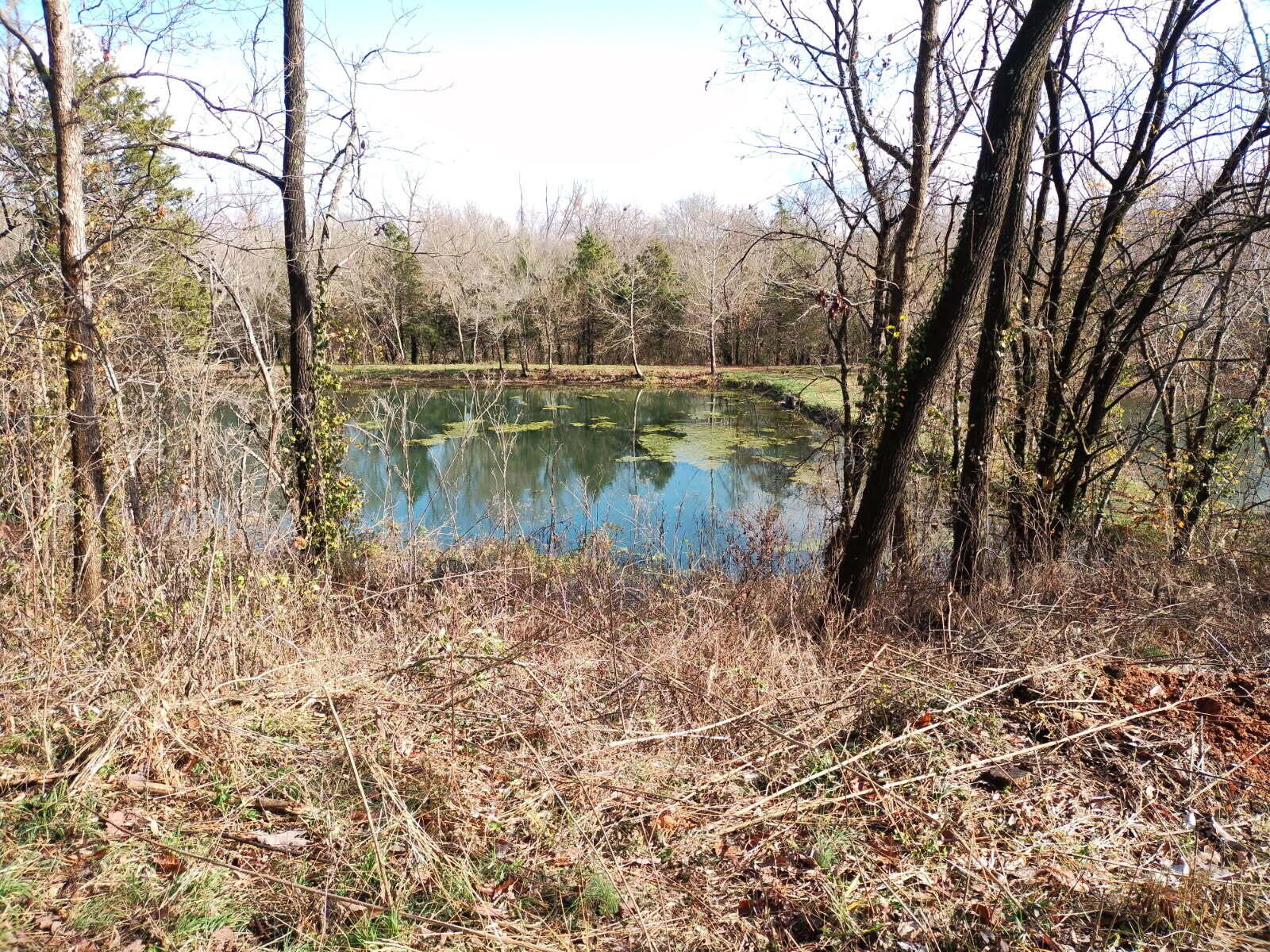 Photo 21 - Land for sale – 357 E Rolla Street  Hartville, MO