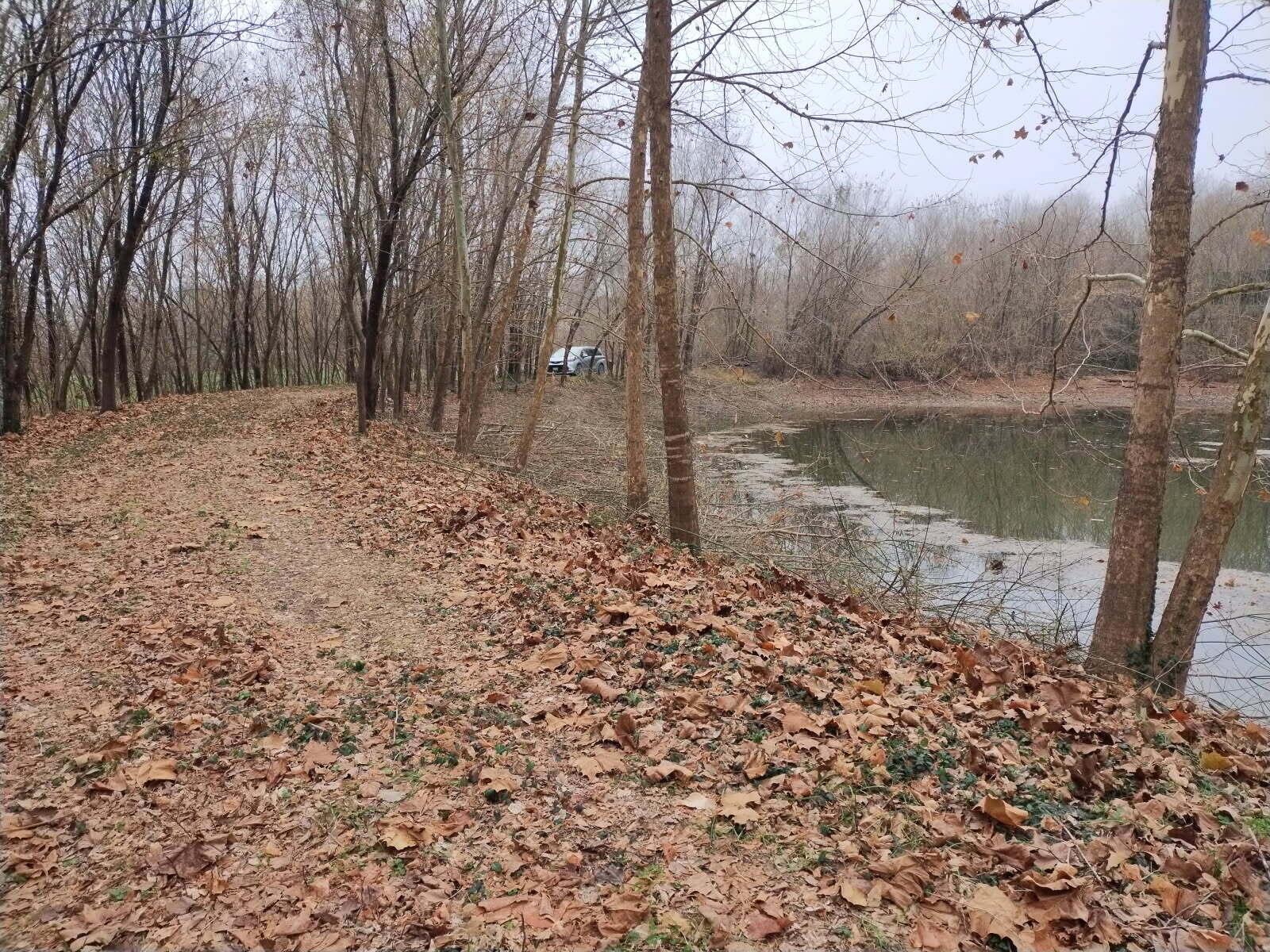 Photo 20 - Land for sale – 357 E Rolla Street  Hartville, MO