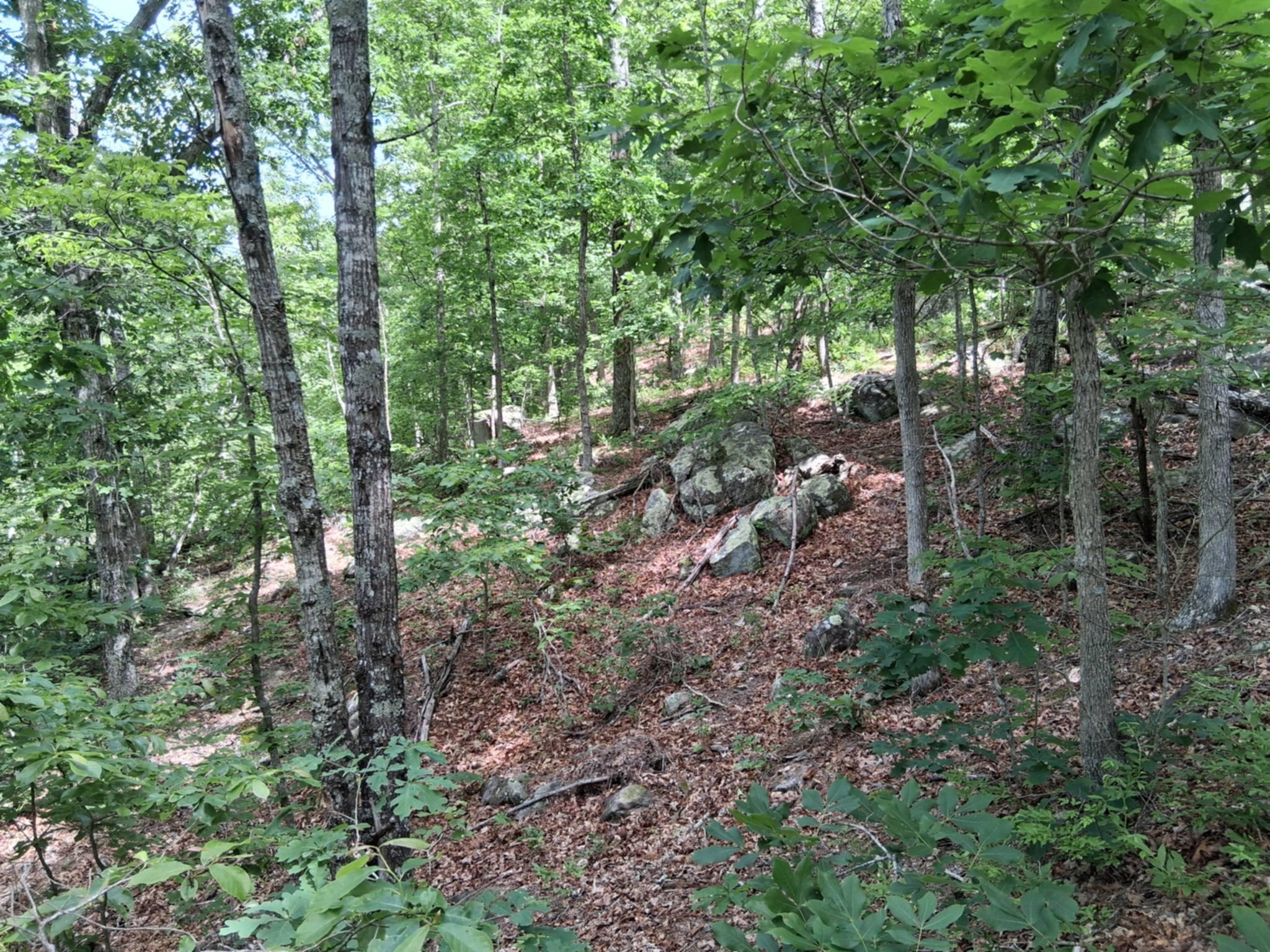Photo 4 - Land for sale – Tbd  Golden Drive  Raymondville, MO