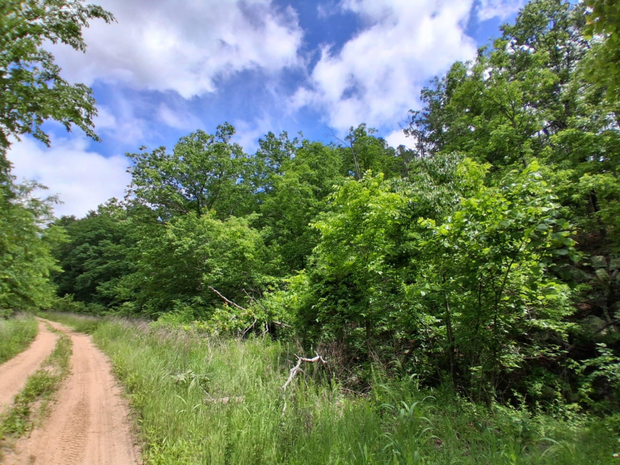 Photo 20 - Land for sale – Tbd  Golden Drive  Raymondville, MO