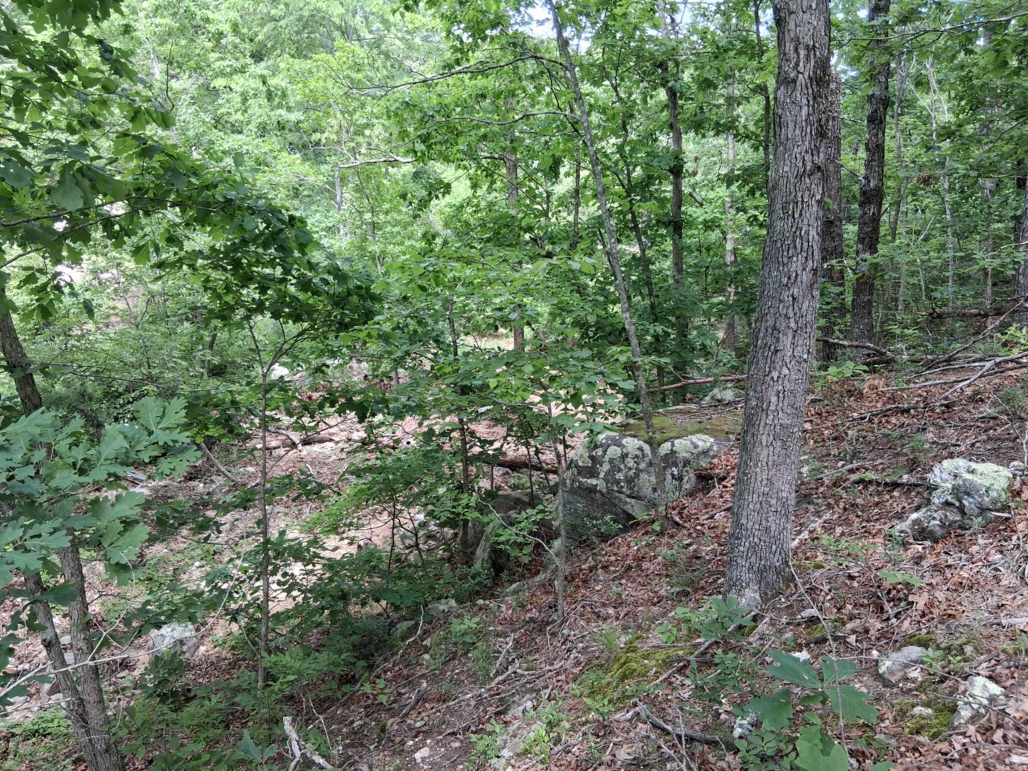 Photo 3 - Land for sale – Tbd  Golden Drive  Raymondville, MO