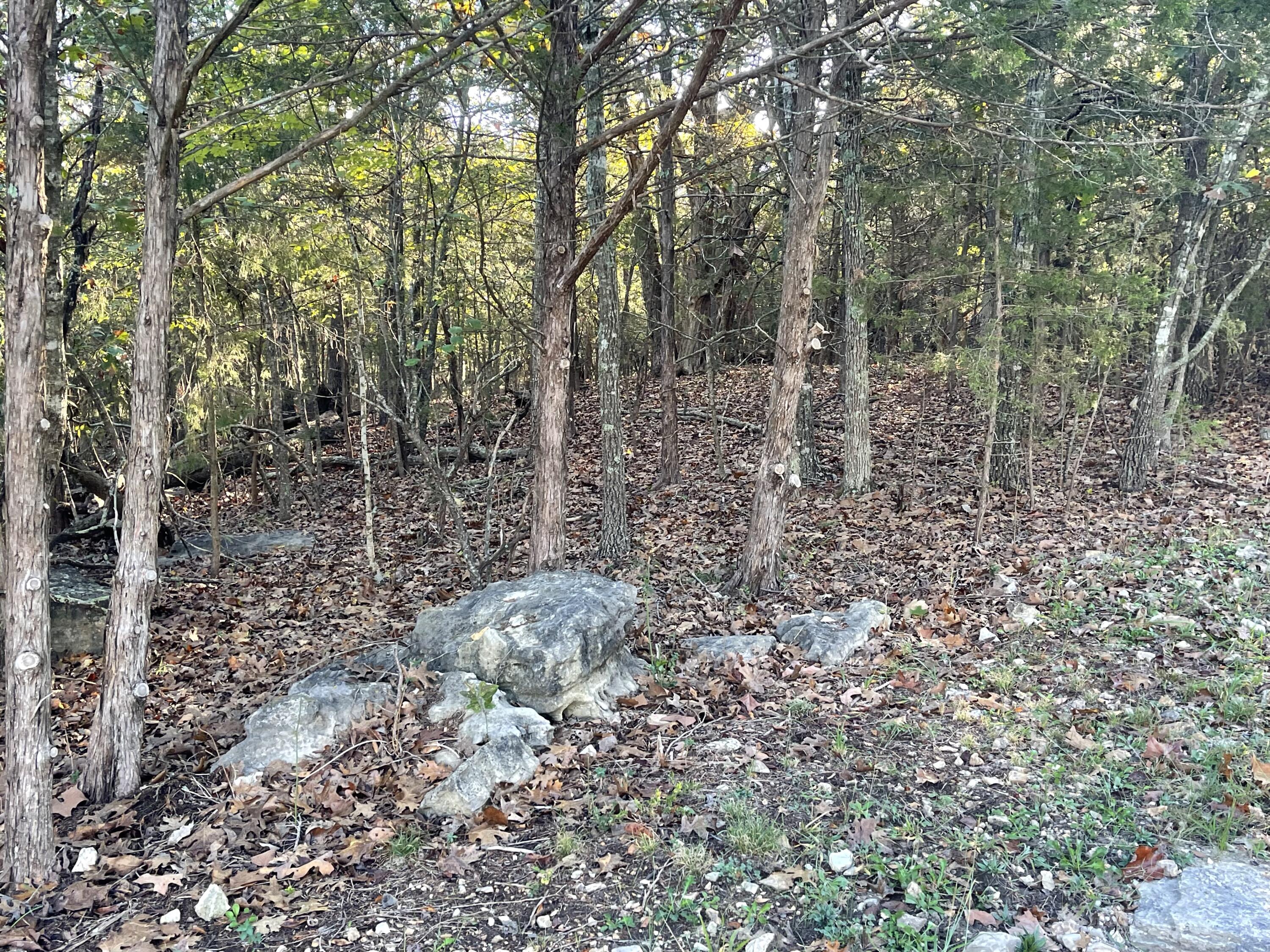 Photo 4 - Land for sale – Tbd  Oakwood Drive  Hollister, MO