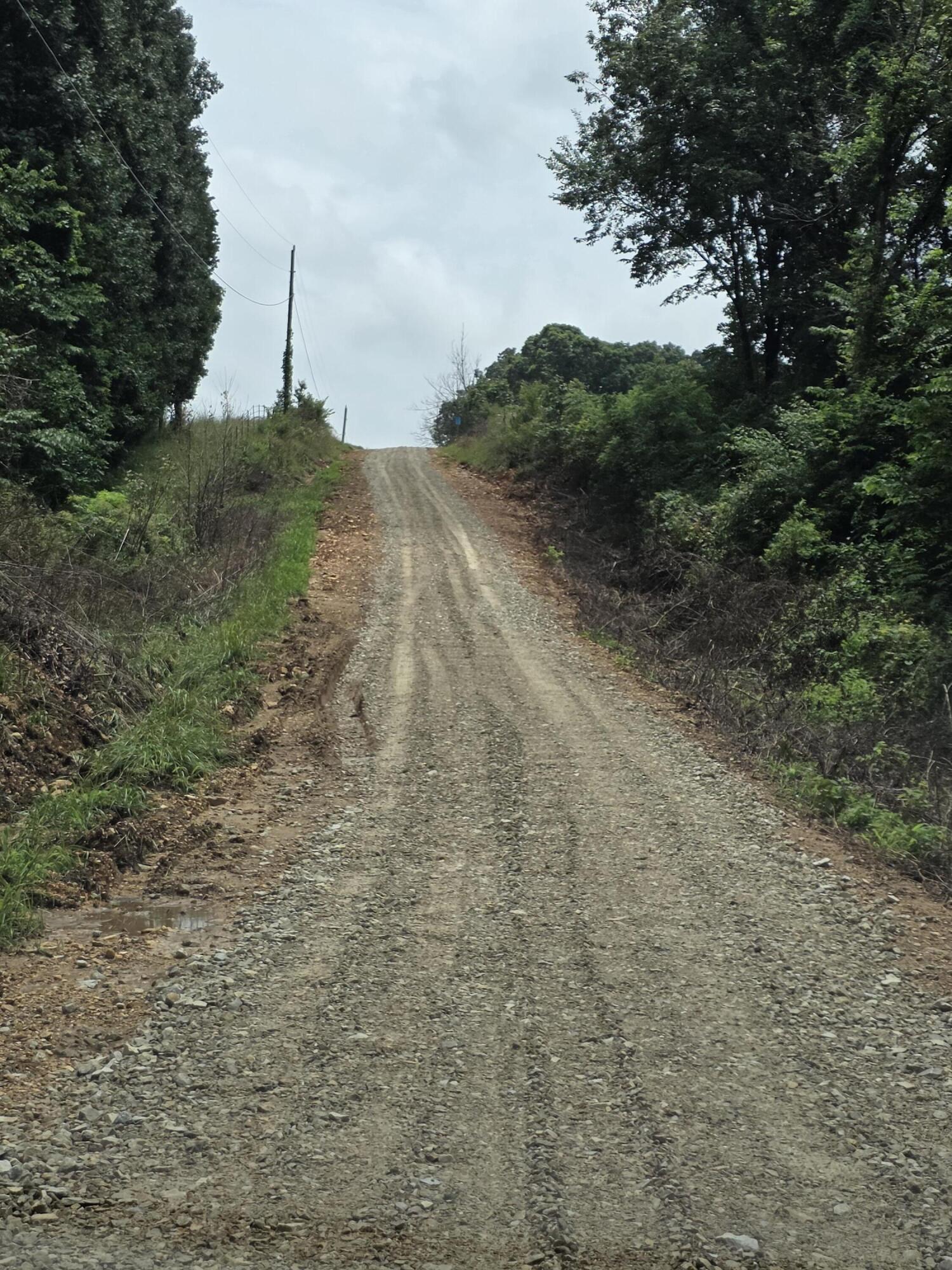 Photo 3 - Land for sale – 420  Lake Valley Drive  Seymour, MO