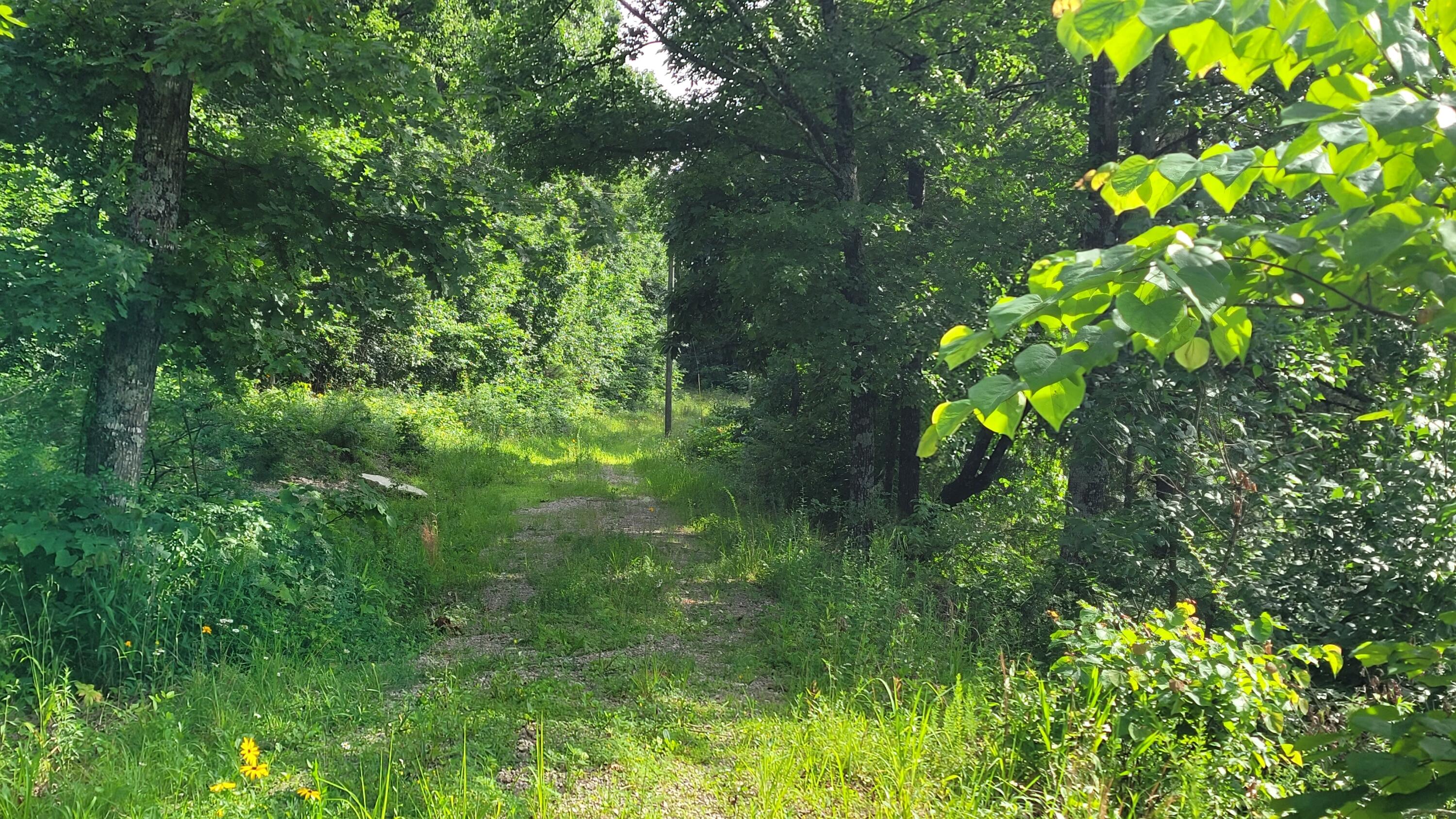 Photo 18 - Land for sale – 420  Lake Valley Drive  Seymour, MO