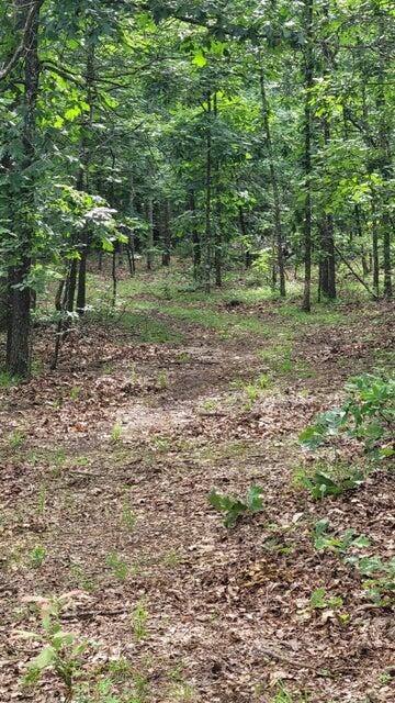 Photo 7 - Land for sale – 420  Lake Valley Drive  Seymour, MO