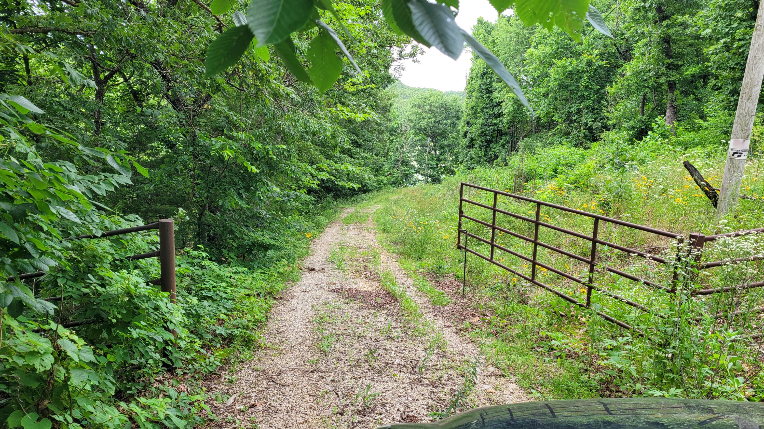 Photo 15 - Land for sale – 420  Lake Valley Drive  Seymour, MO