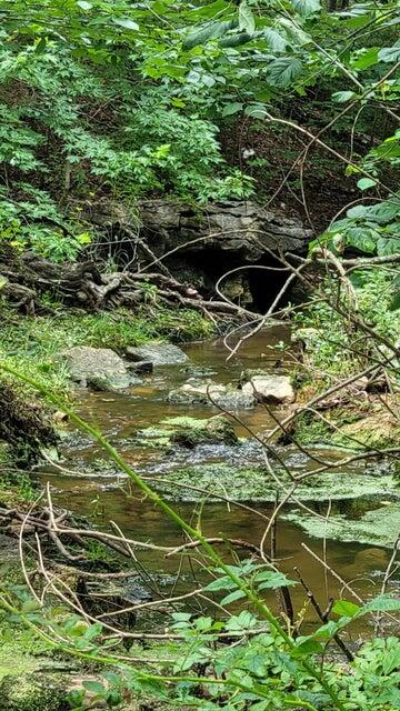 Photo 8 - Land for sale – 420  Lake Valley Drive  Seymour, MO