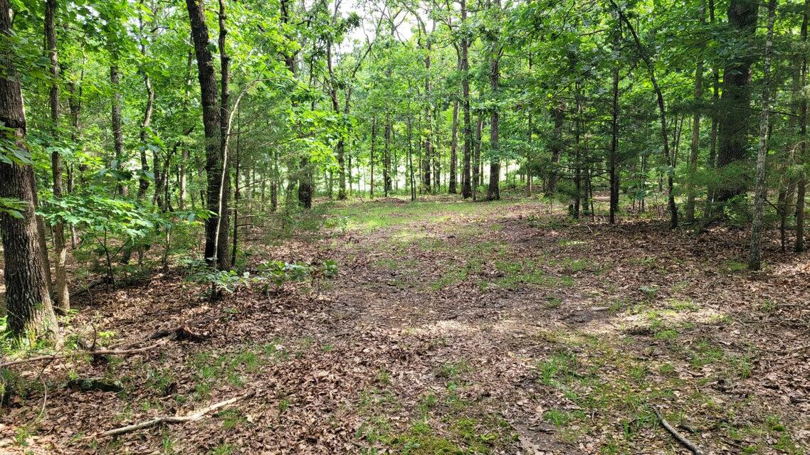 Photo 9 - Land for sale – 420  Lake Valley Drive  Seymour, MO