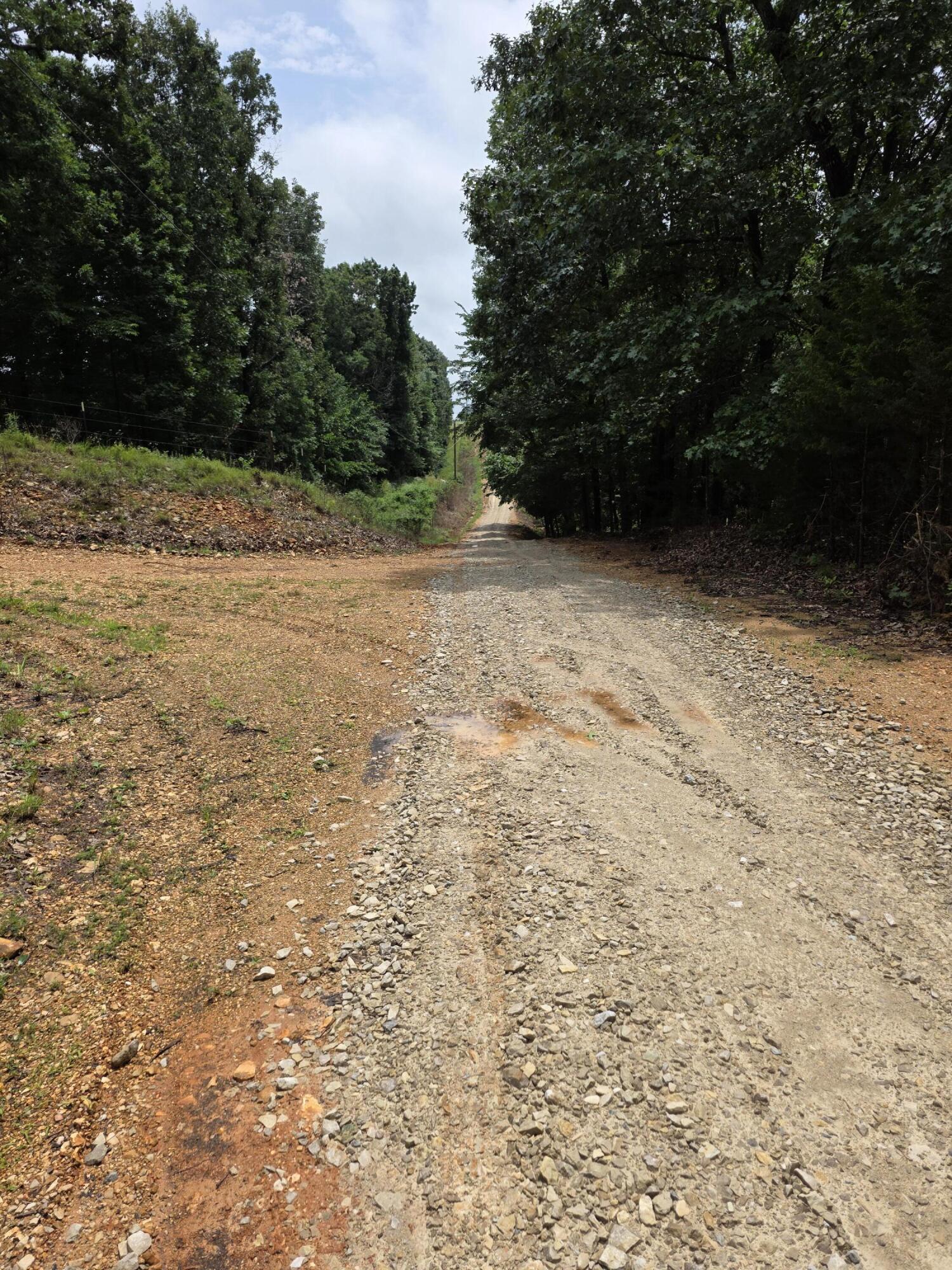 Photo 2 - Land for sale – 420  Lake Valley Drive  Seymour, MO