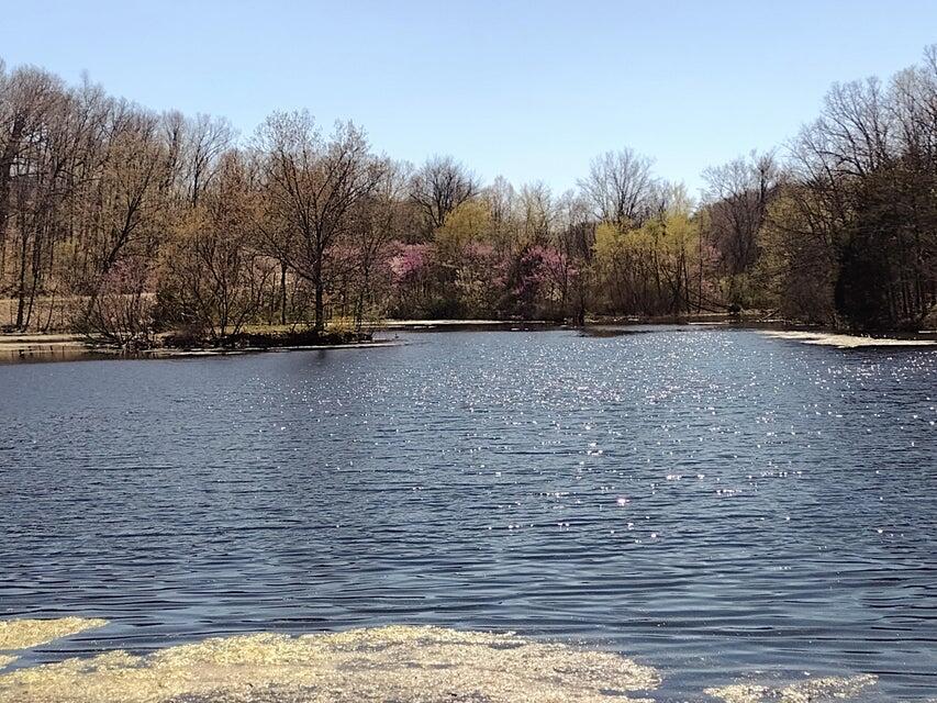 Photo 4 - Land for sale – 420  Lake Valley Drive  Seymour, MO