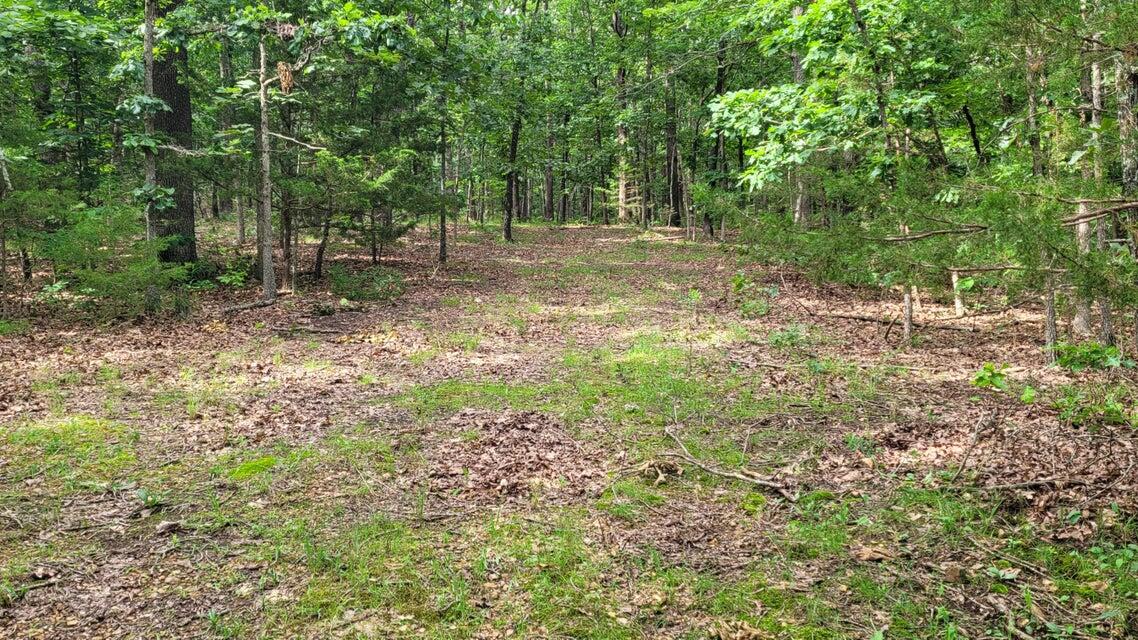 Photo 6 - Land for sale – 420  Lake Valley Drive  Seymour, MO