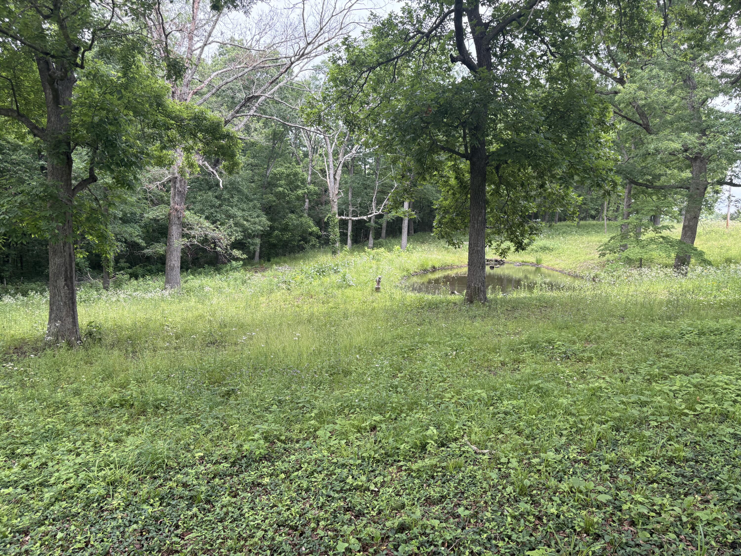 Photo 30 - Residential for sale – 7440  Highway 17   Houston, MO