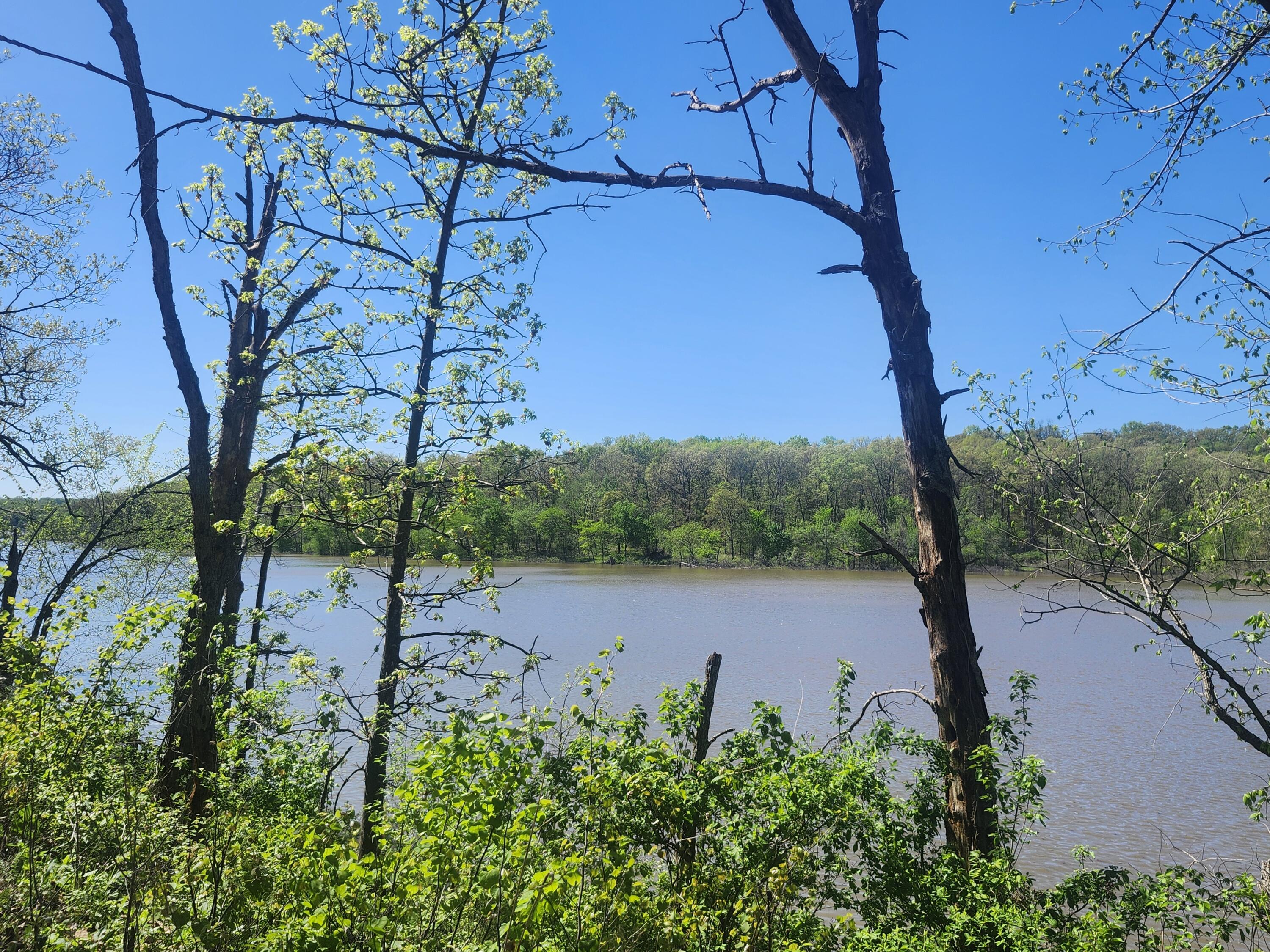 Photo 10 - Land for sale – 24803  County Road 294   Urbana, MO