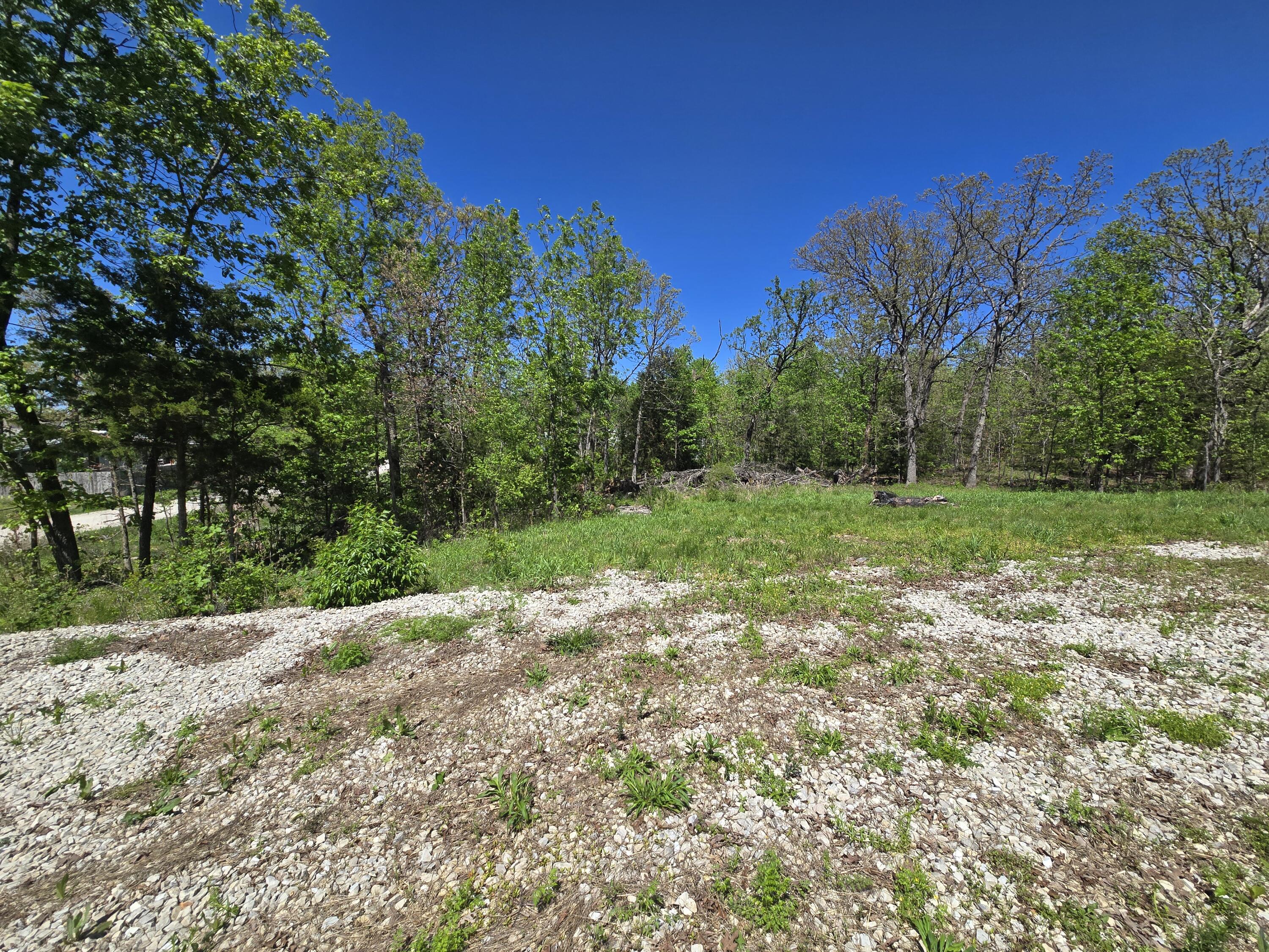 Photo 2 - Land for sale – 24803  County Road 294   Urbana, MO