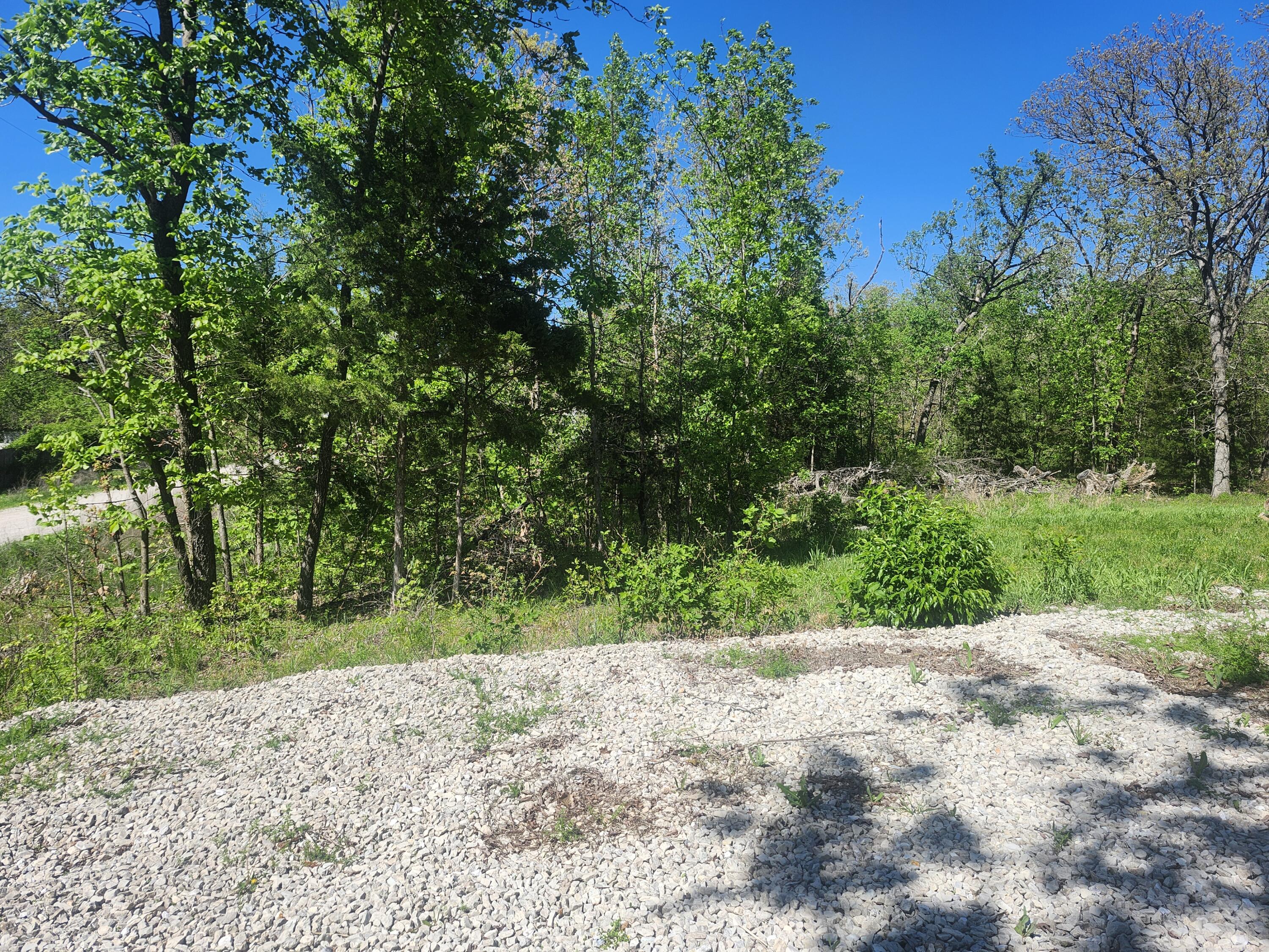 Photo 5 - Land for sale – 24803  County Road 294   Urbana, MO