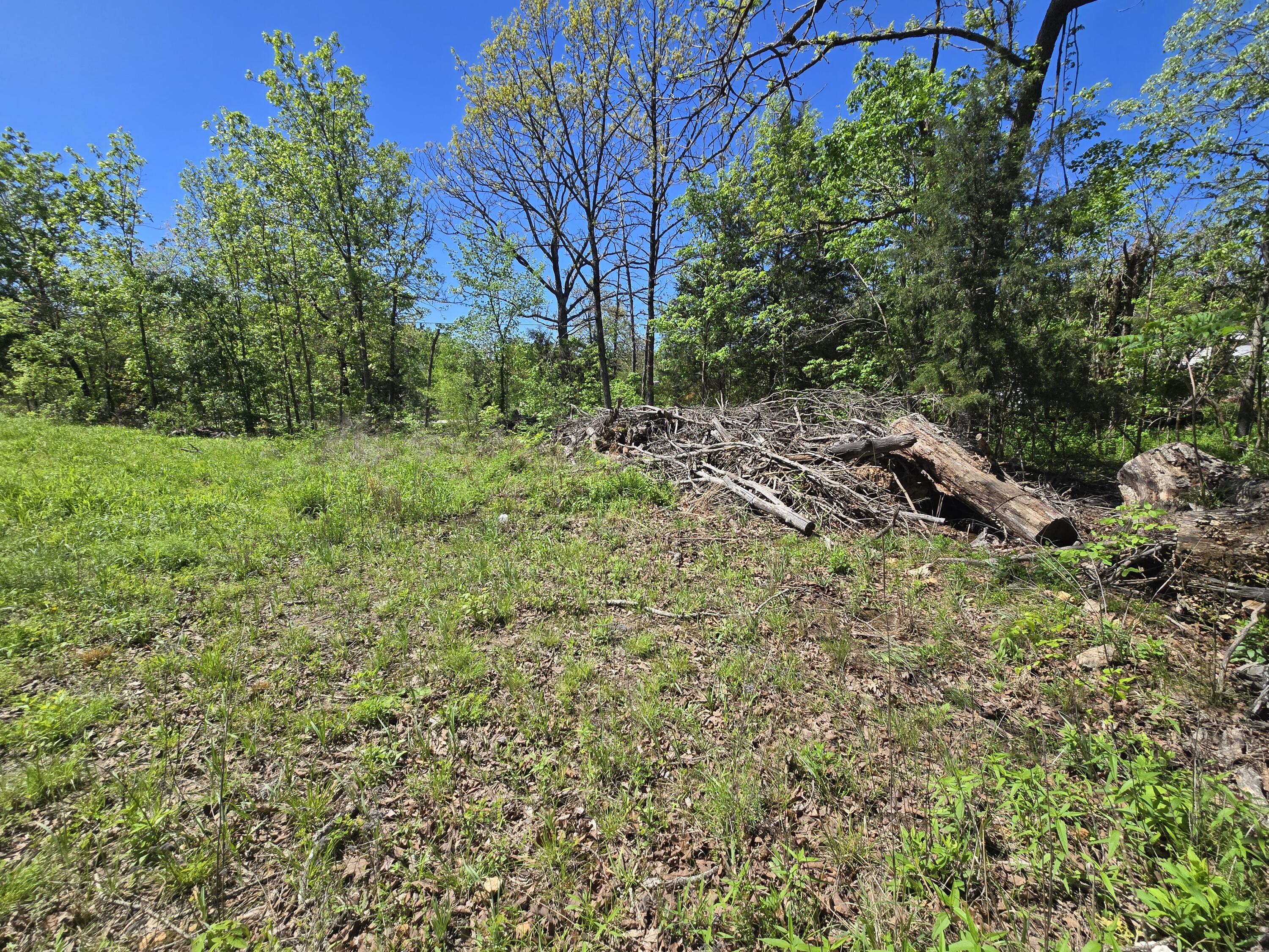 Photo 9 - Land for sale – 24803  County Road 294   Urbana, MO