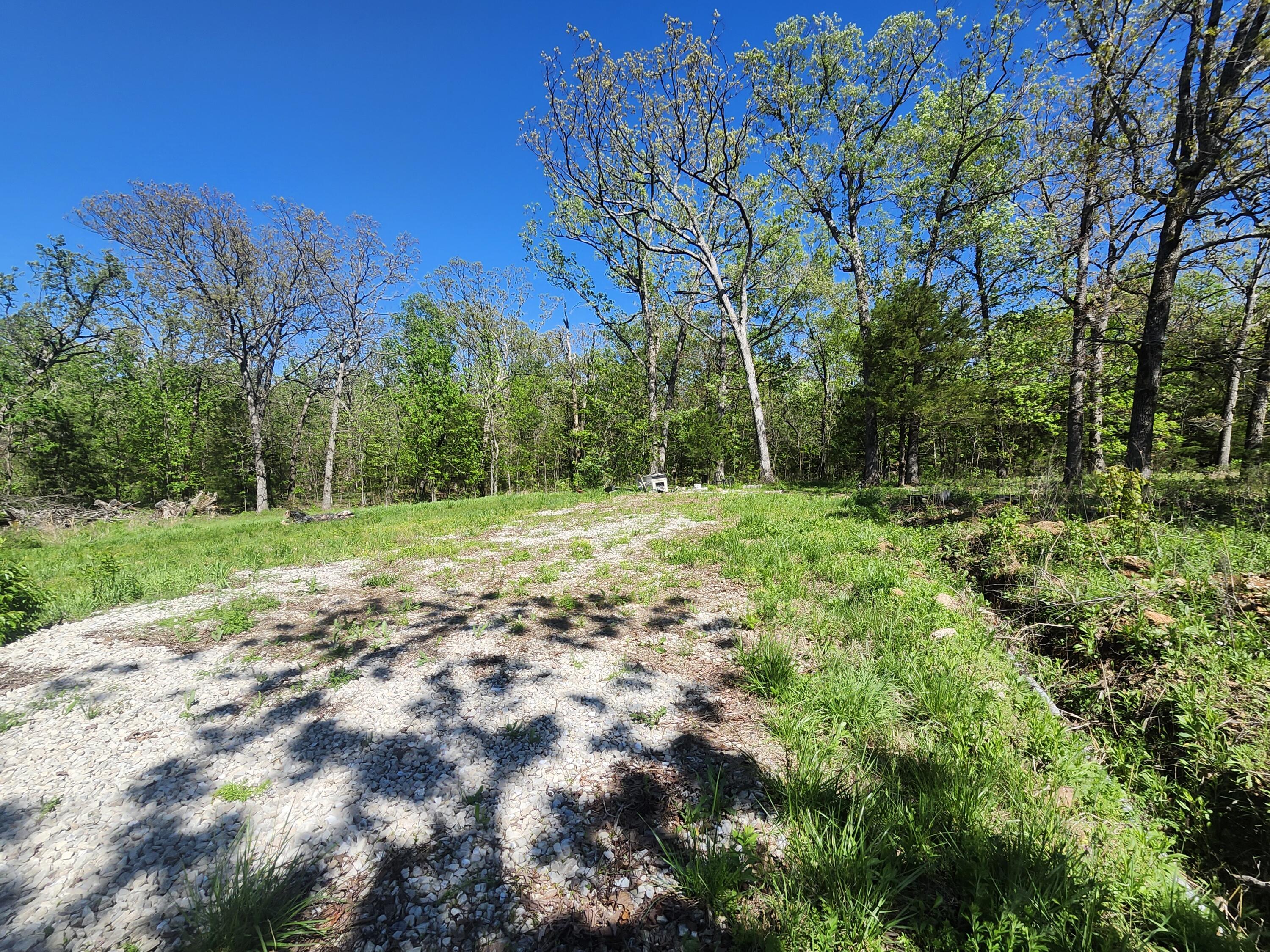 Photo 4 - Land for sale – 24803  County Road 294   Urbana, MO