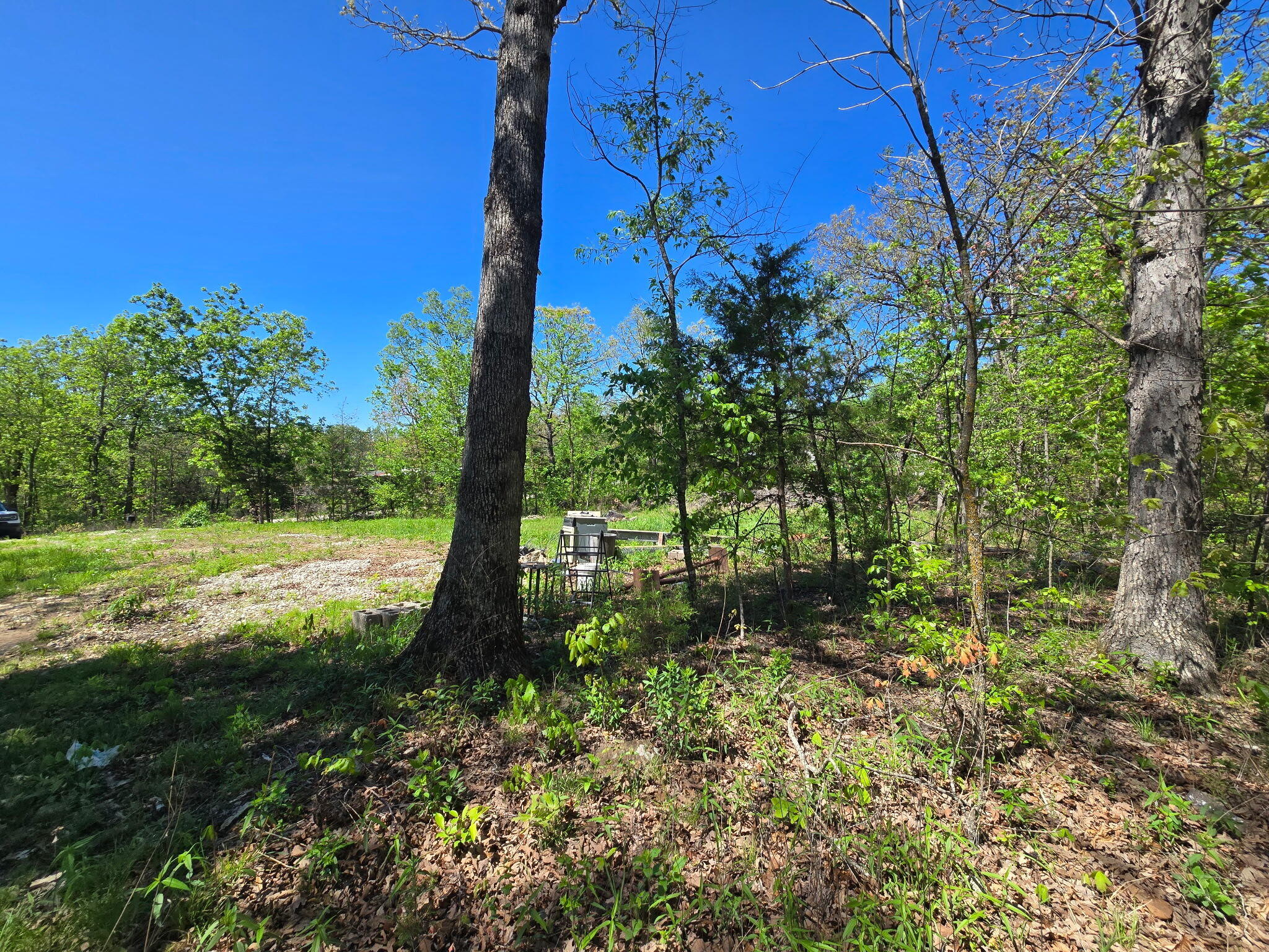 Photo 8 - Land for sale – 24803  County Road 294   Urbana, MO