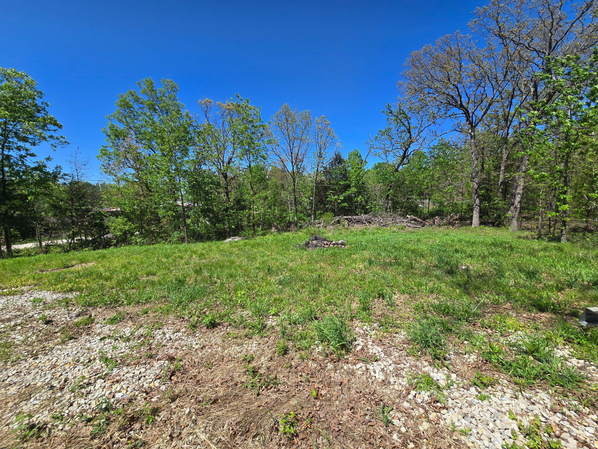 Photo 6 - Land for sale – 24803  County Road 294   Urbana, MO
