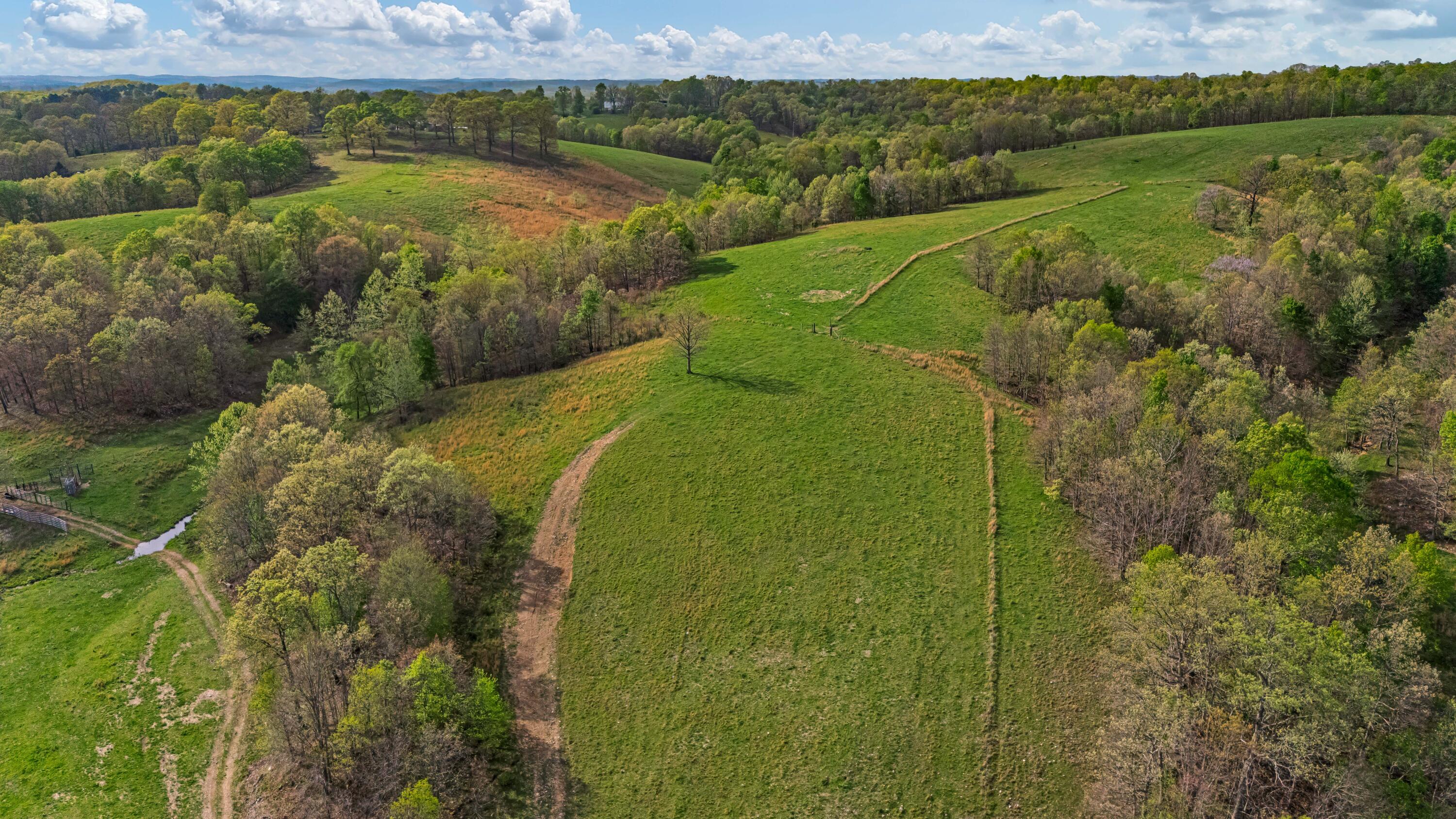 Photo 63 - Residential for sale – 550  County Road 1990   Willow Springs, MO