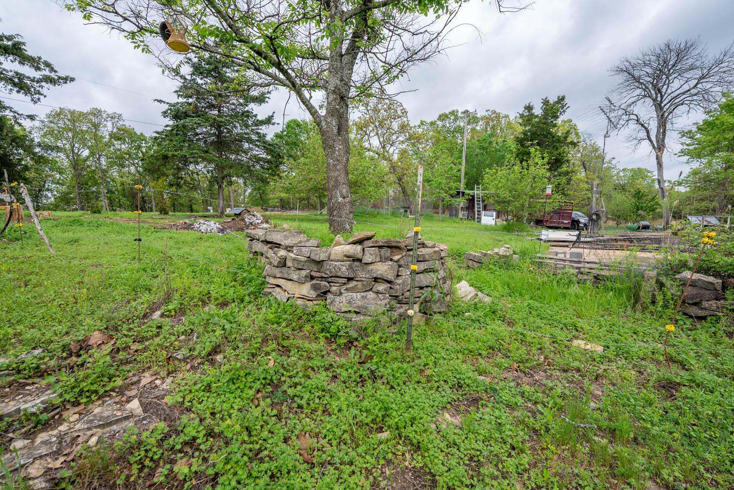 Photo 24 - Land for sale – 178  Round Robin Lane  Theodosia, AR