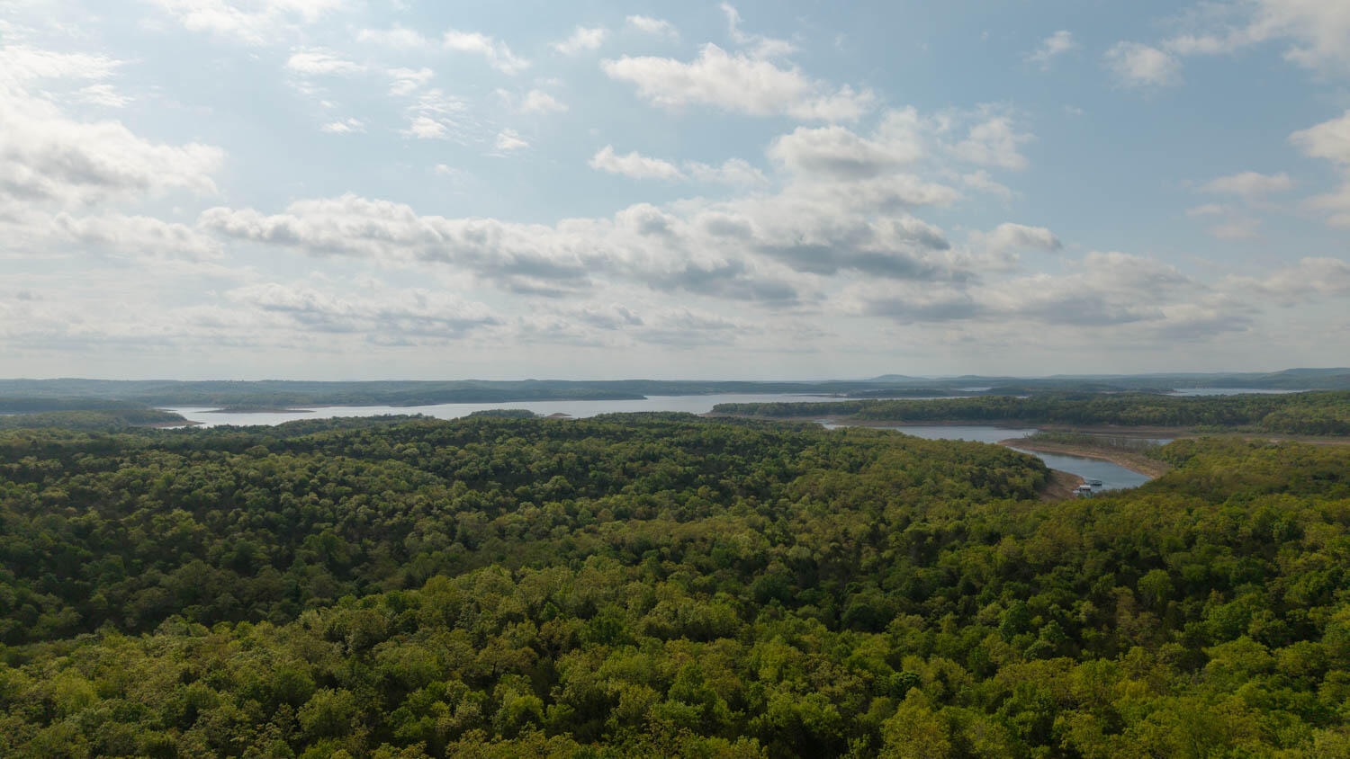 Photo 4 - Land for sale – 178  Round Robin Lane  Theodosia, AR