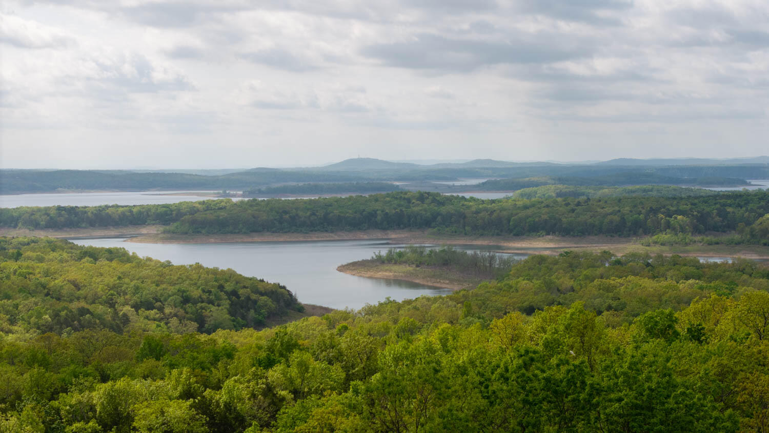 Photo 11 - Land for sale – 178  Round Robin Lane  Theodosia, AR