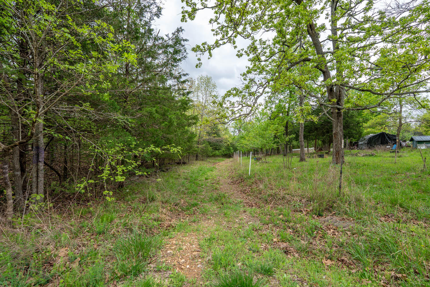 Photo 16 - Land for sale – 178  Round Robin Lane  Theodosia, AR