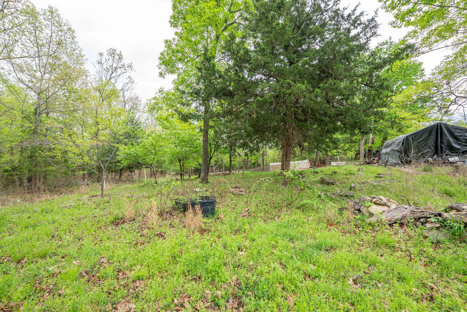 Photo 30 - Land for sale – 178  Round Robin Lane  Theodosia, AR