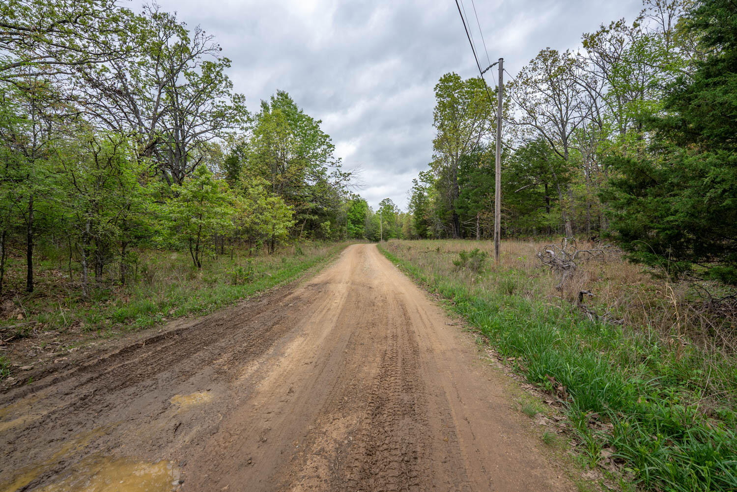 Photo 15 - Land for sale – 178  Round Robin Lane  Theodosia, AR