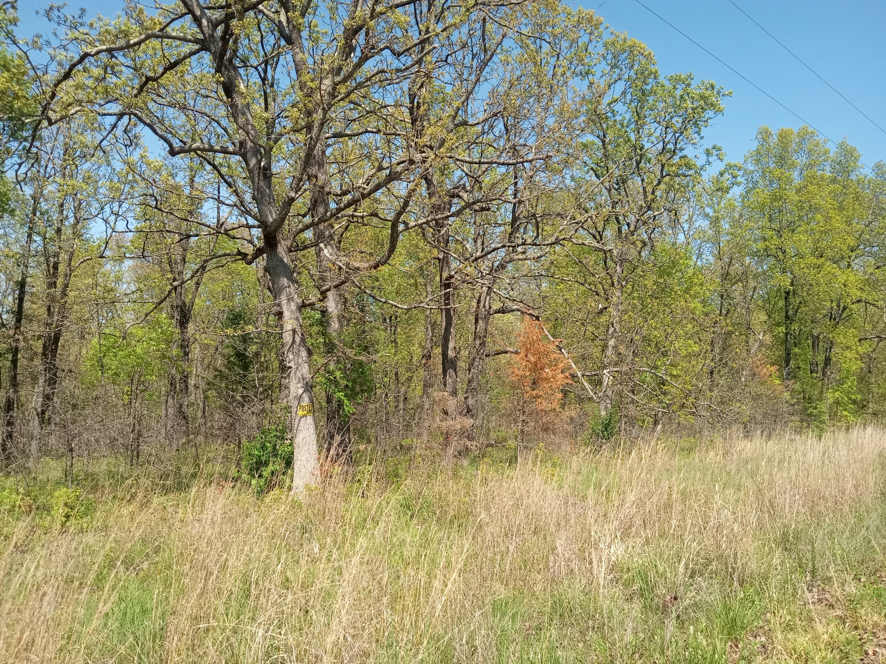 Photo 10 - Land for sale – 000  Timber Circle  Tunas, MO