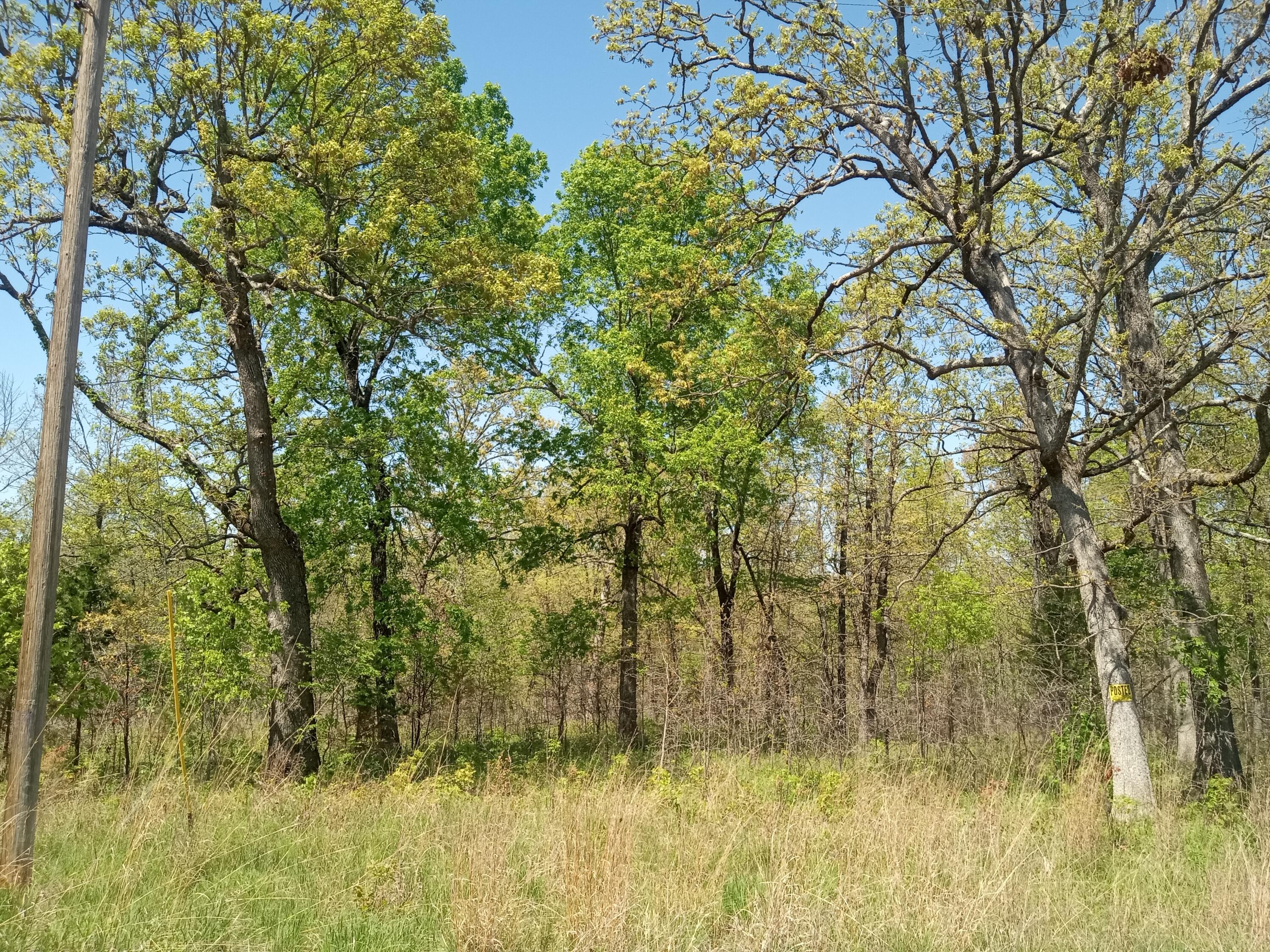 Photo 11 - Land for sale – 000  Timber Circle  Tunas, MO