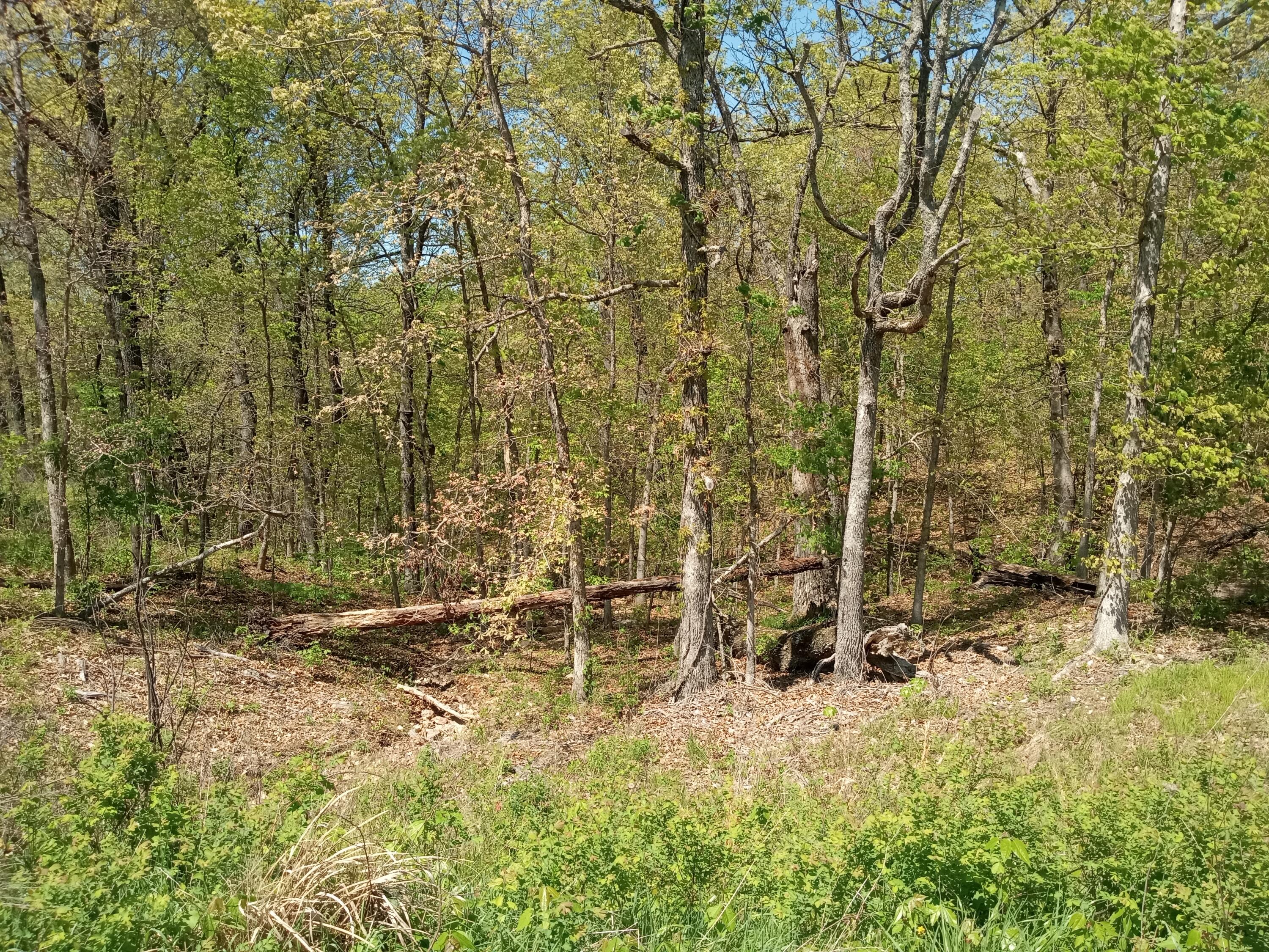 Photo 13 - Land for sale – 000  Timber Circle  Tunas, MO