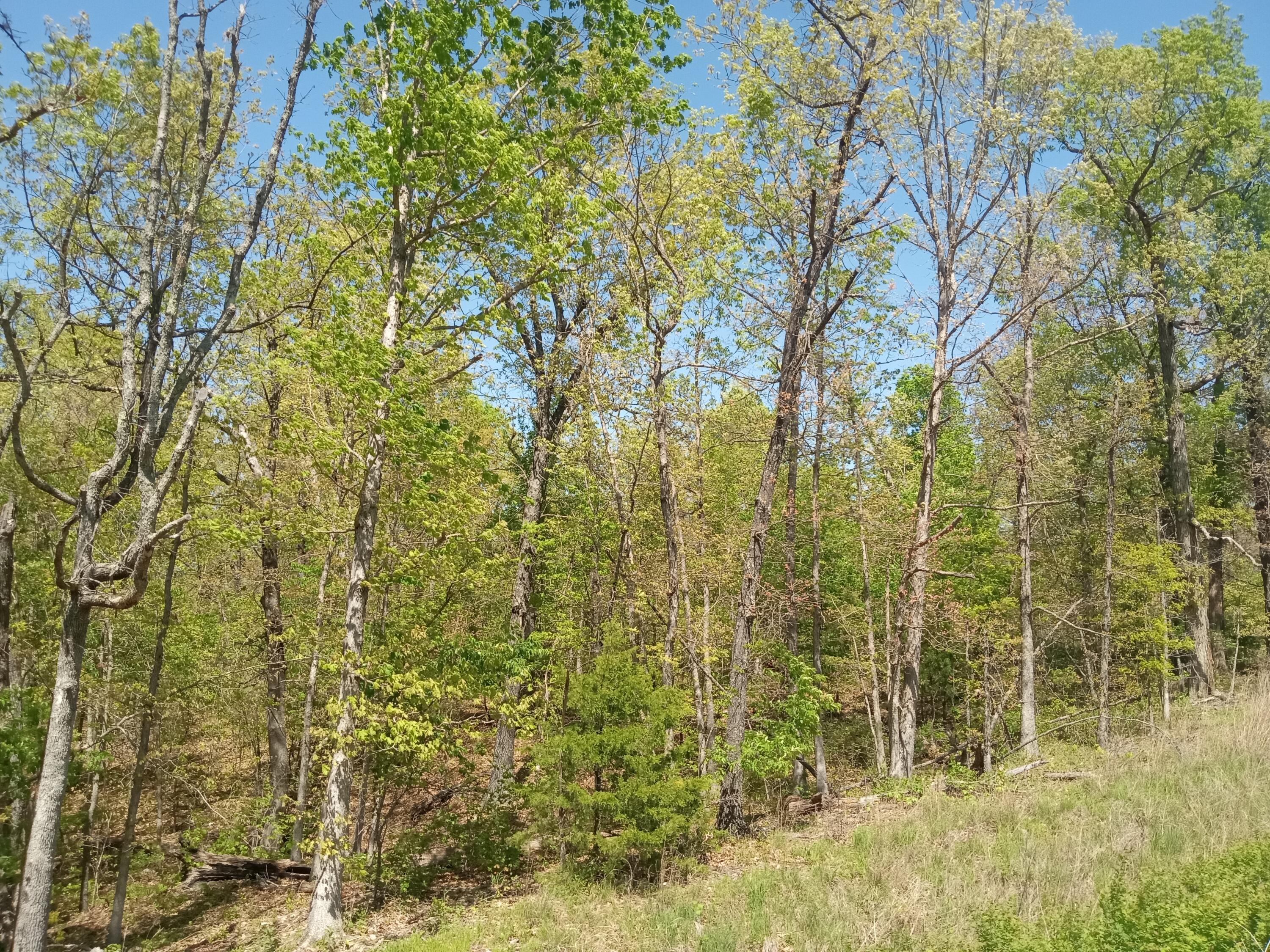Photo 12 - Land for sale – 000  Timber Circle  Tunas, MO