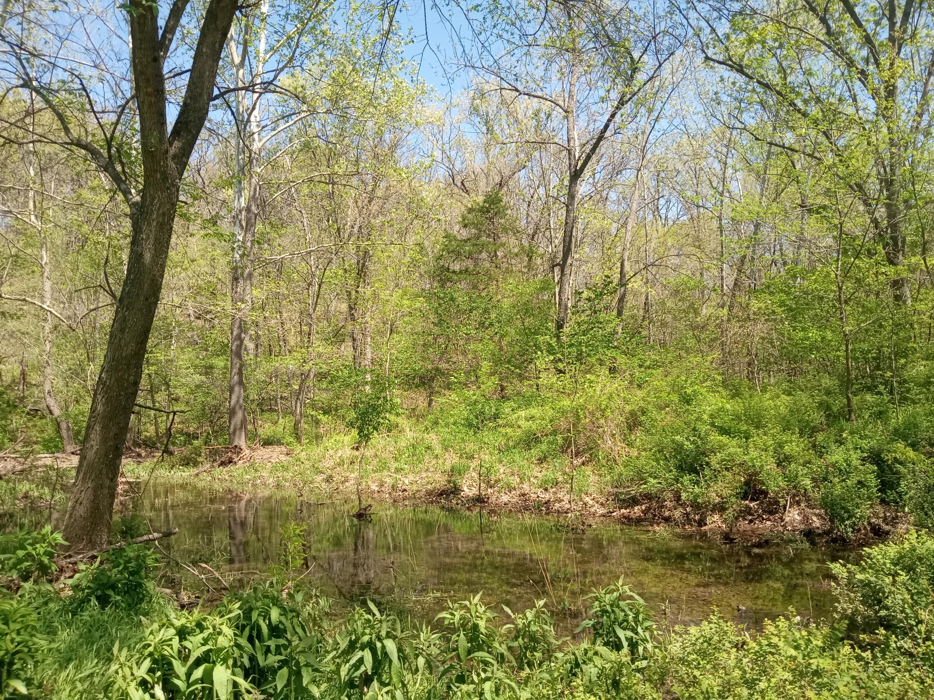Photo 4 - Land for sale – 000  Timber Circle  Tunas, MO